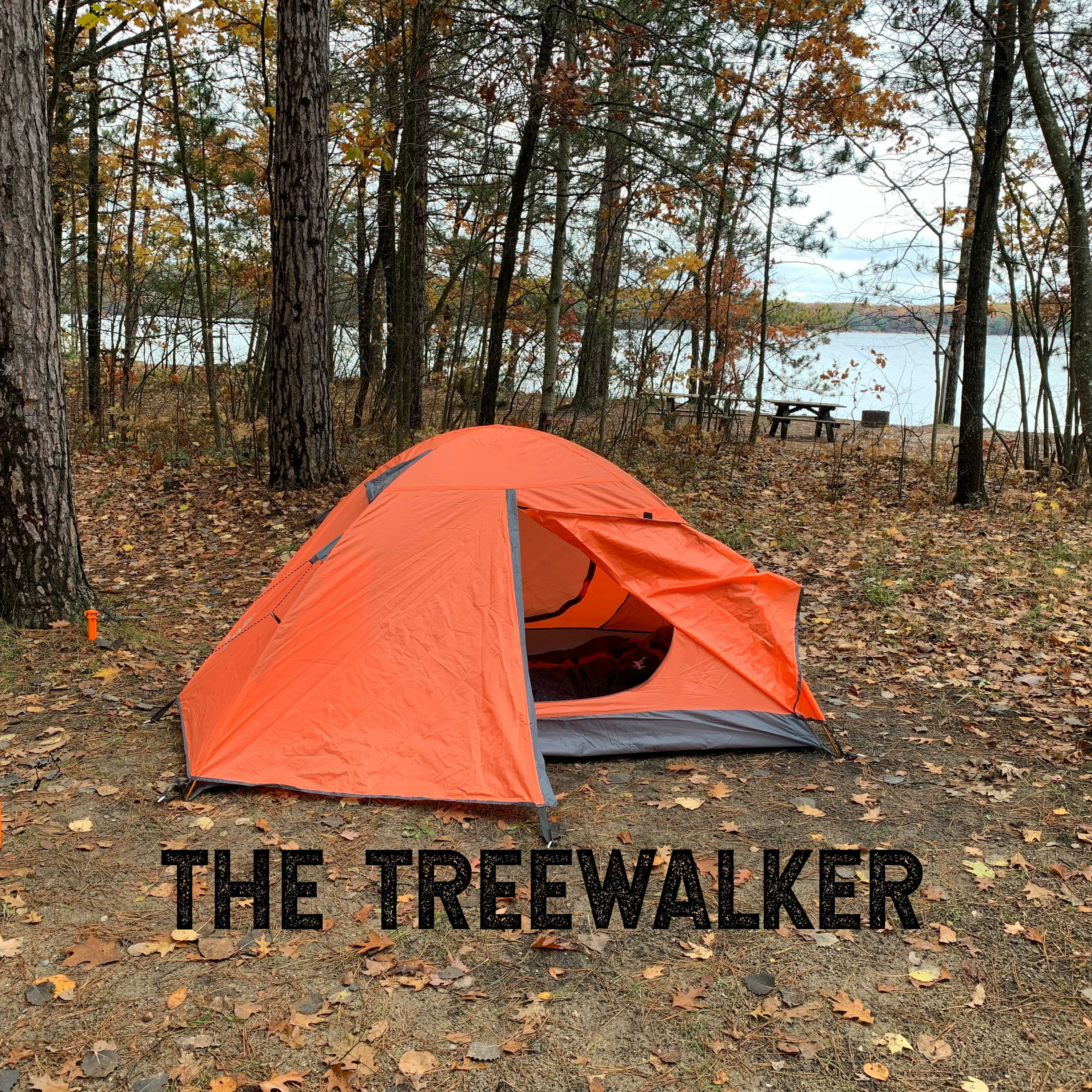 Treewalker Talks