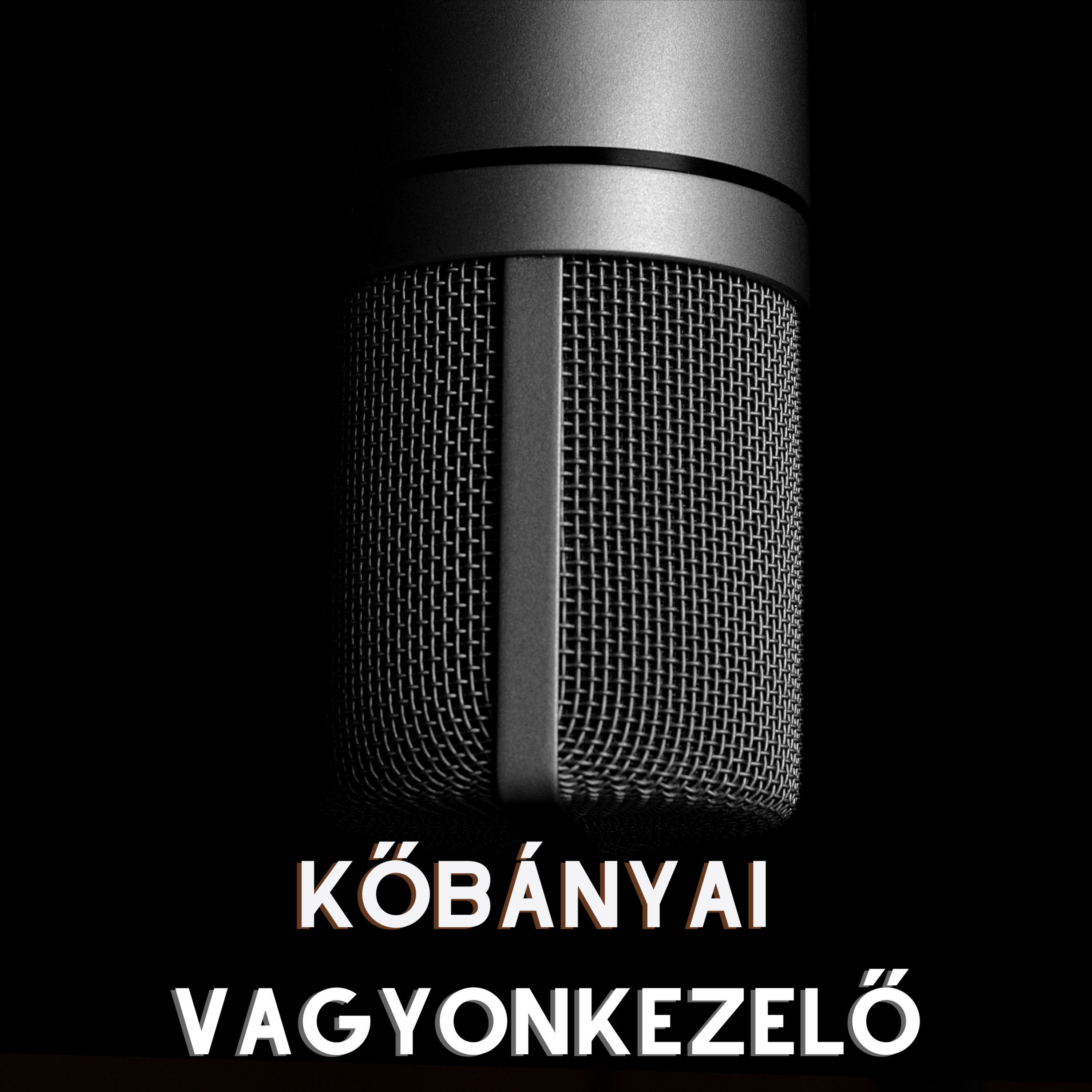 A Vagyonkezelő Kőbánya szolgálatában