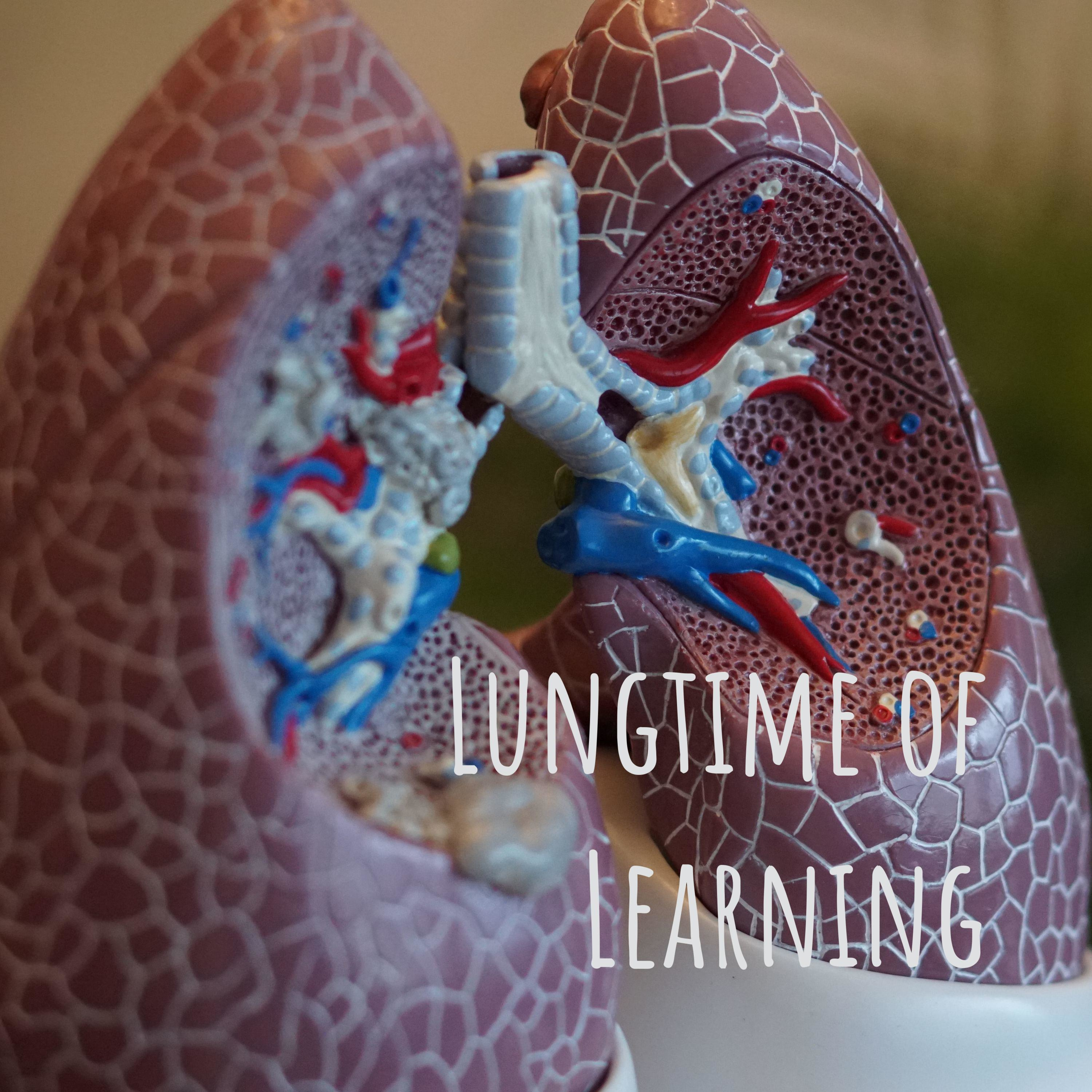 Lungtime of Learning