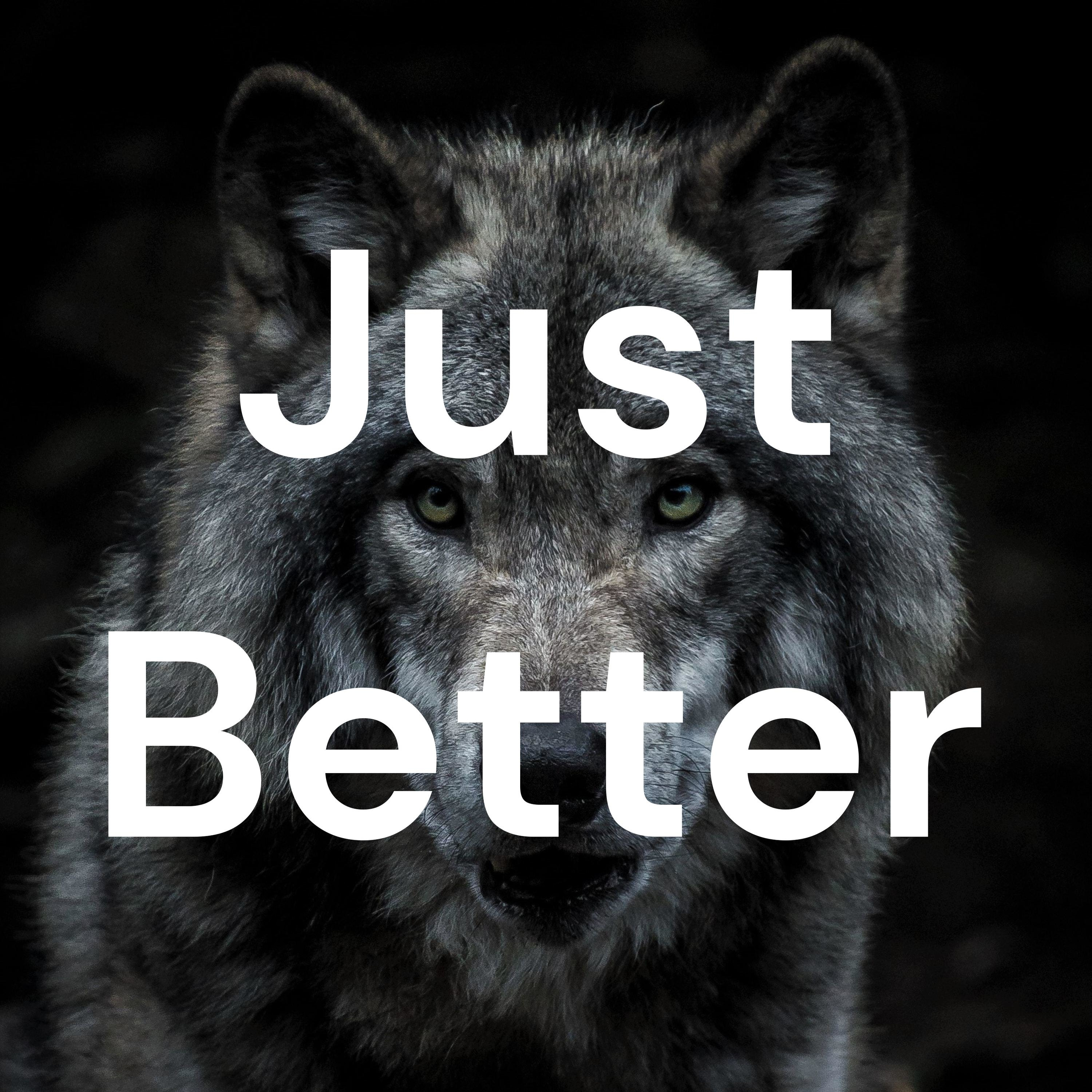 Just Better cover art