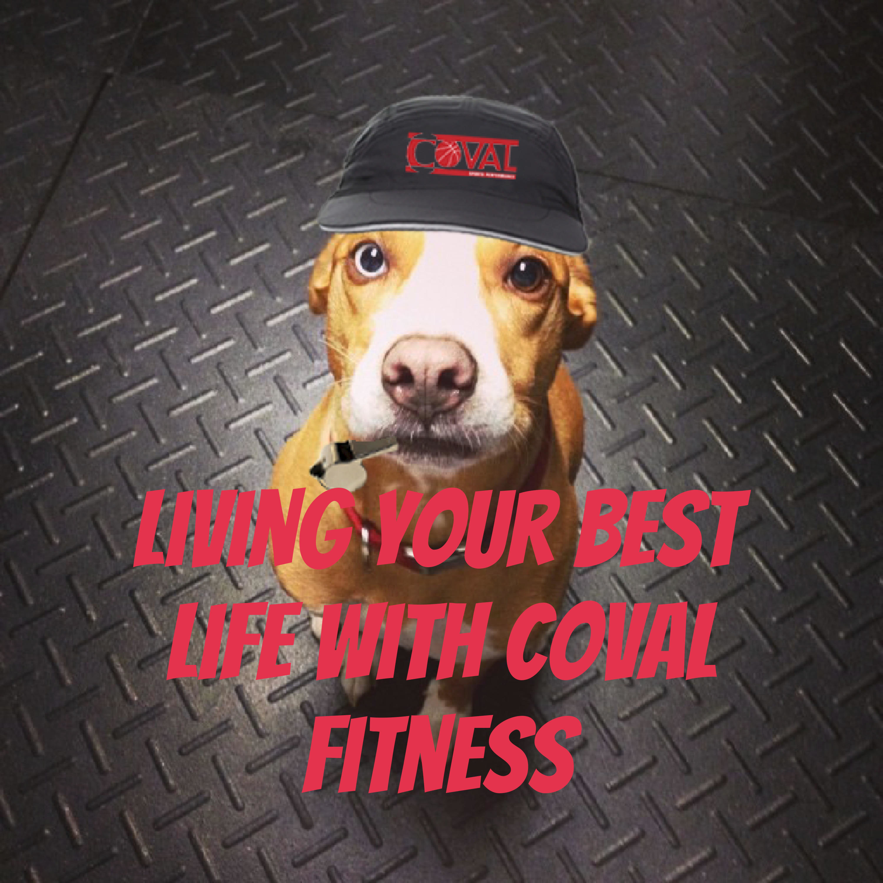 Living Your Best Life with COVAL Fitness