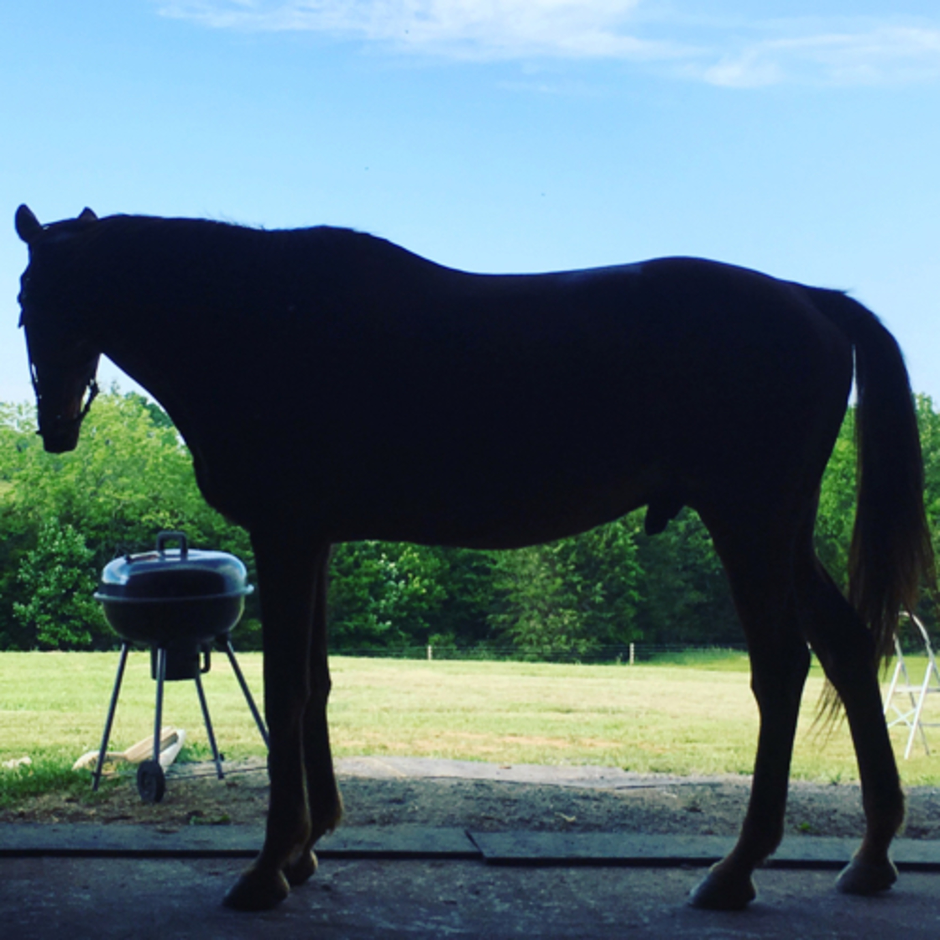 Find Your Horsepower
