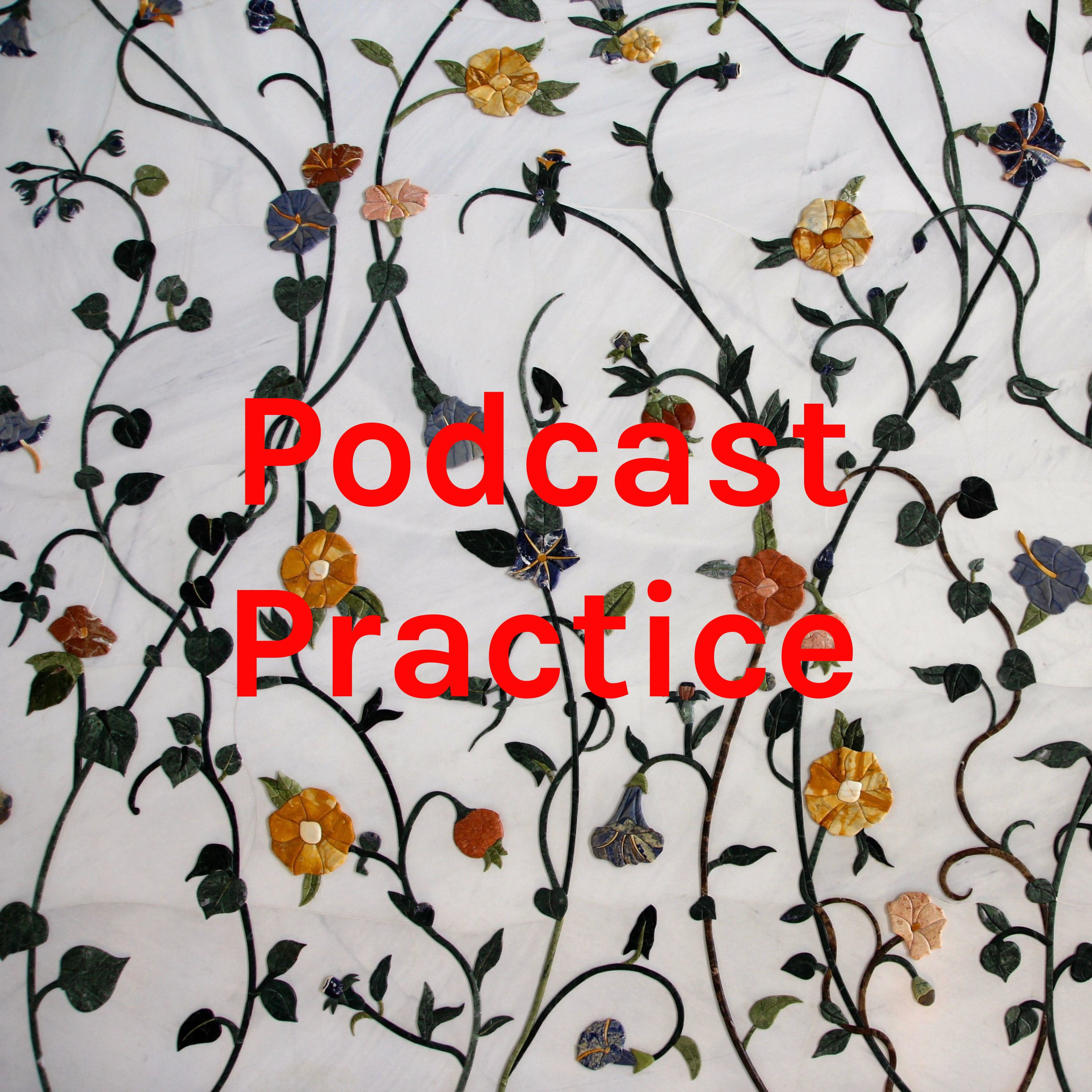 Podcast Practice