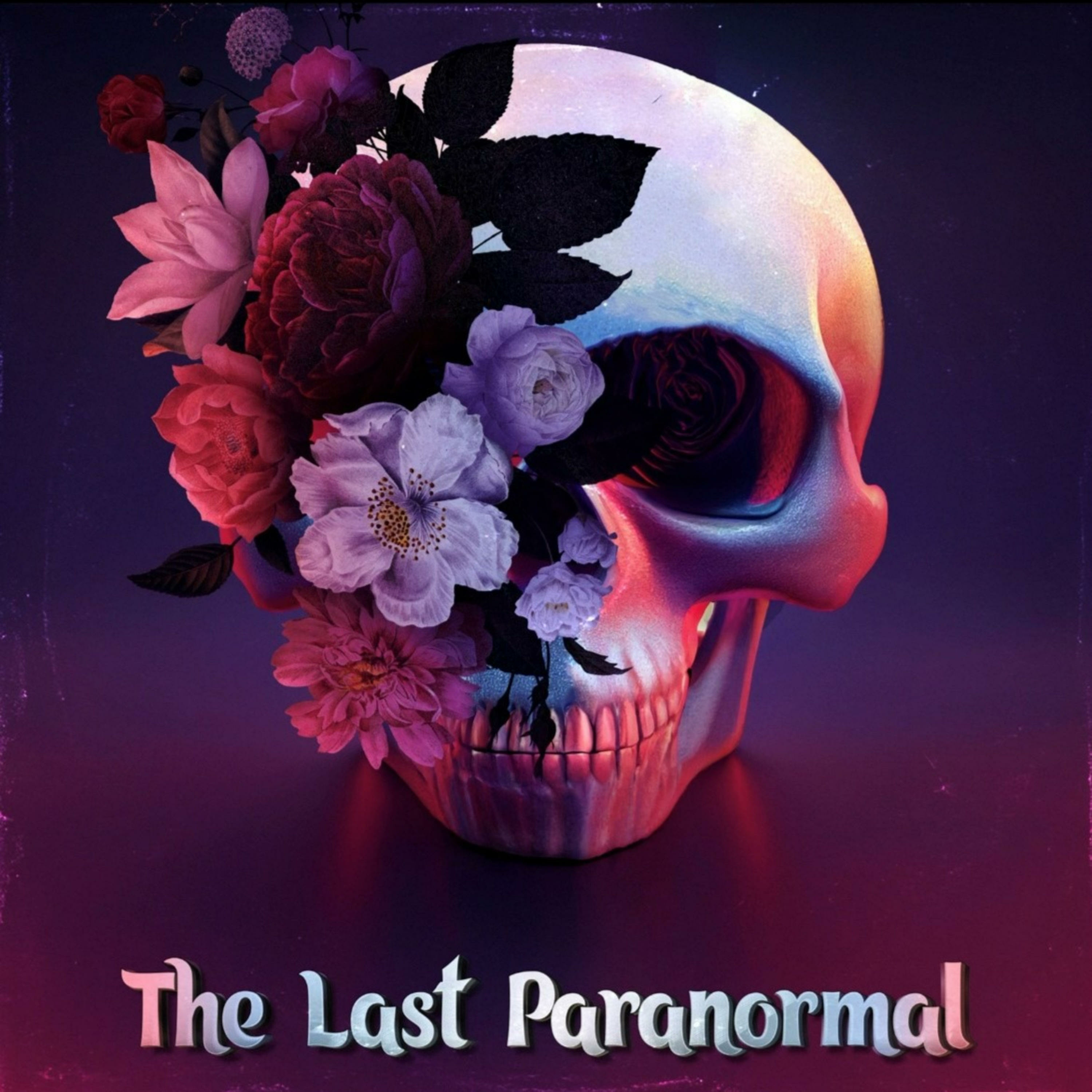 The Last Paranormal