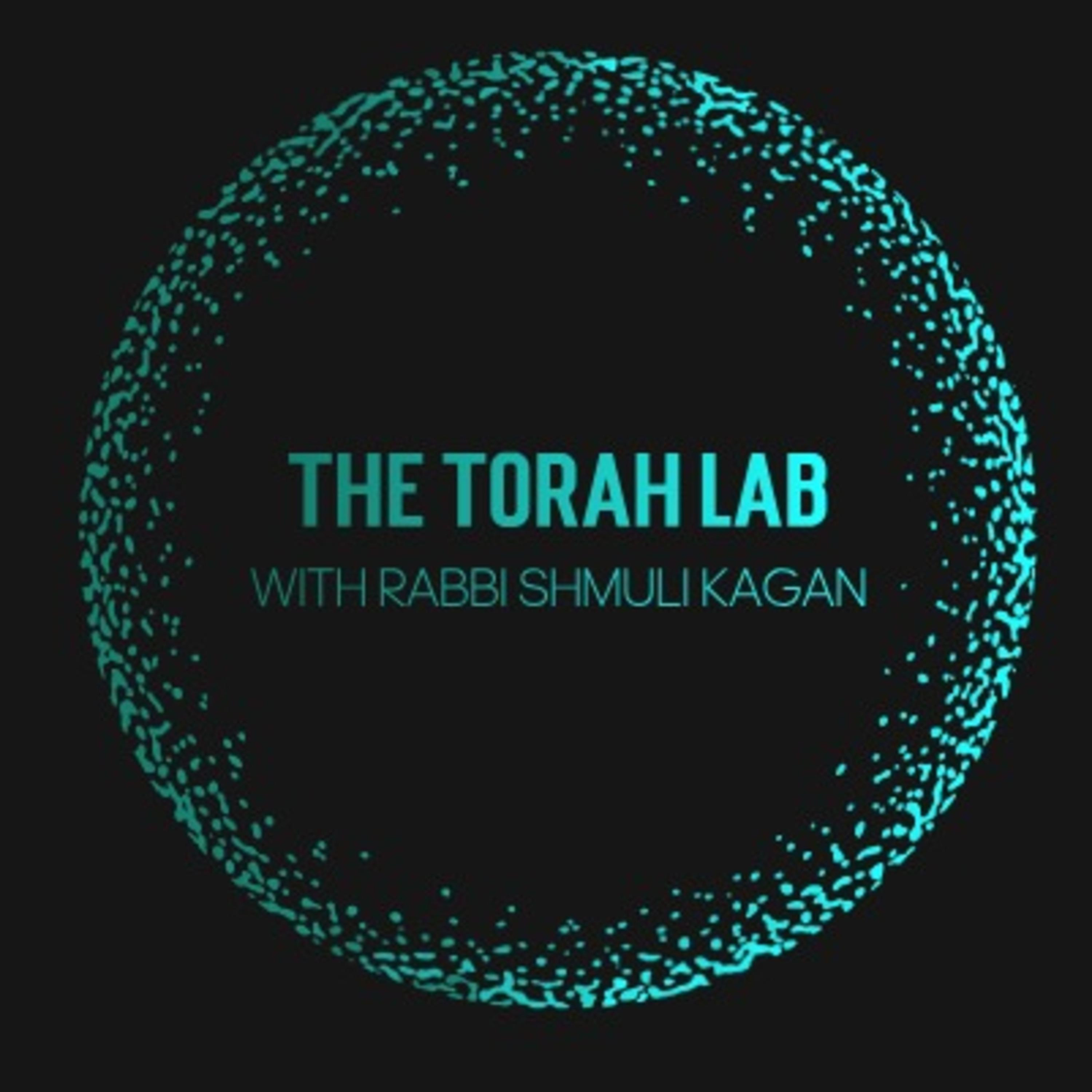The TORAH Lab