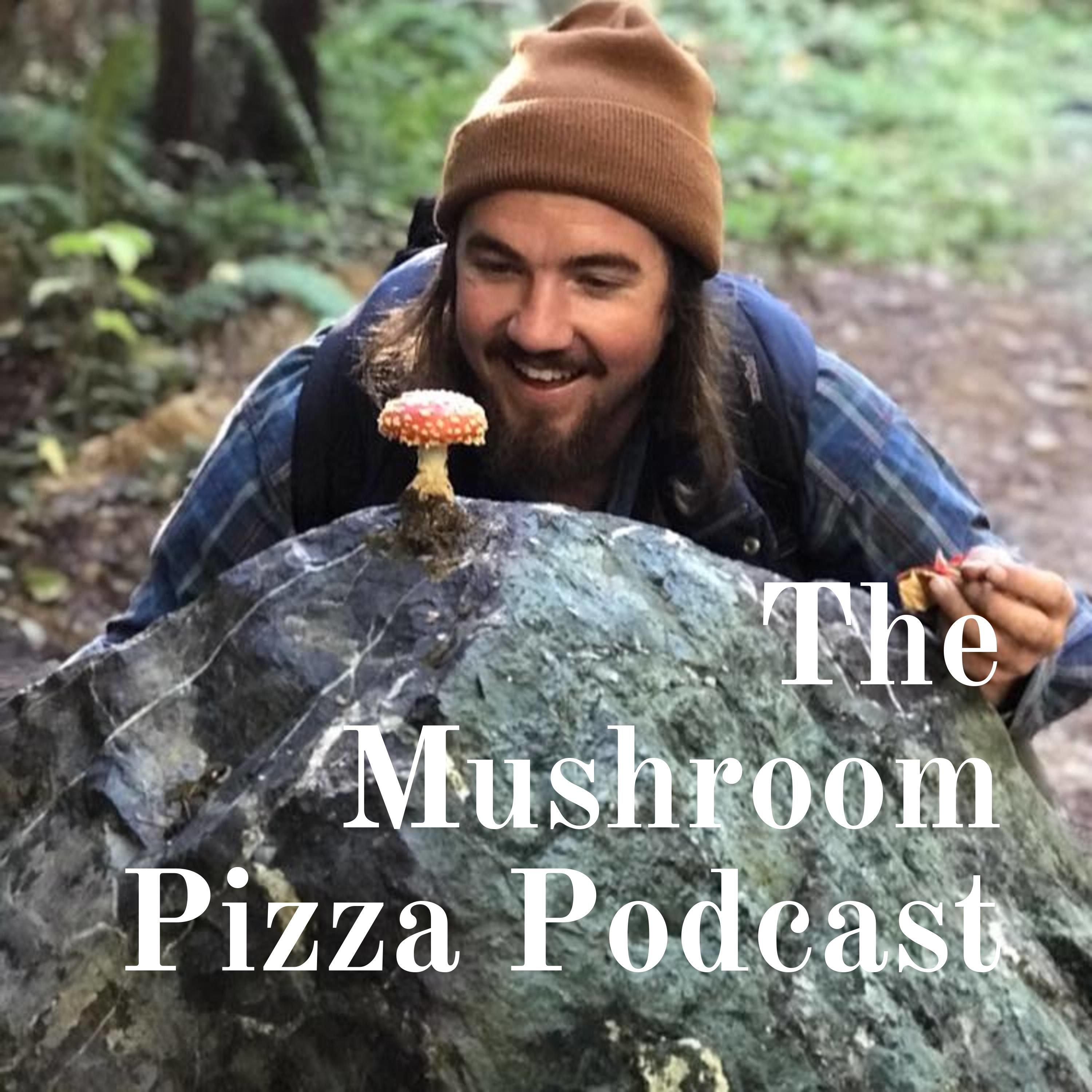 Pilot 2.0 Mushroom Obsession Origin Story by The Mushroom Pizza Podcast