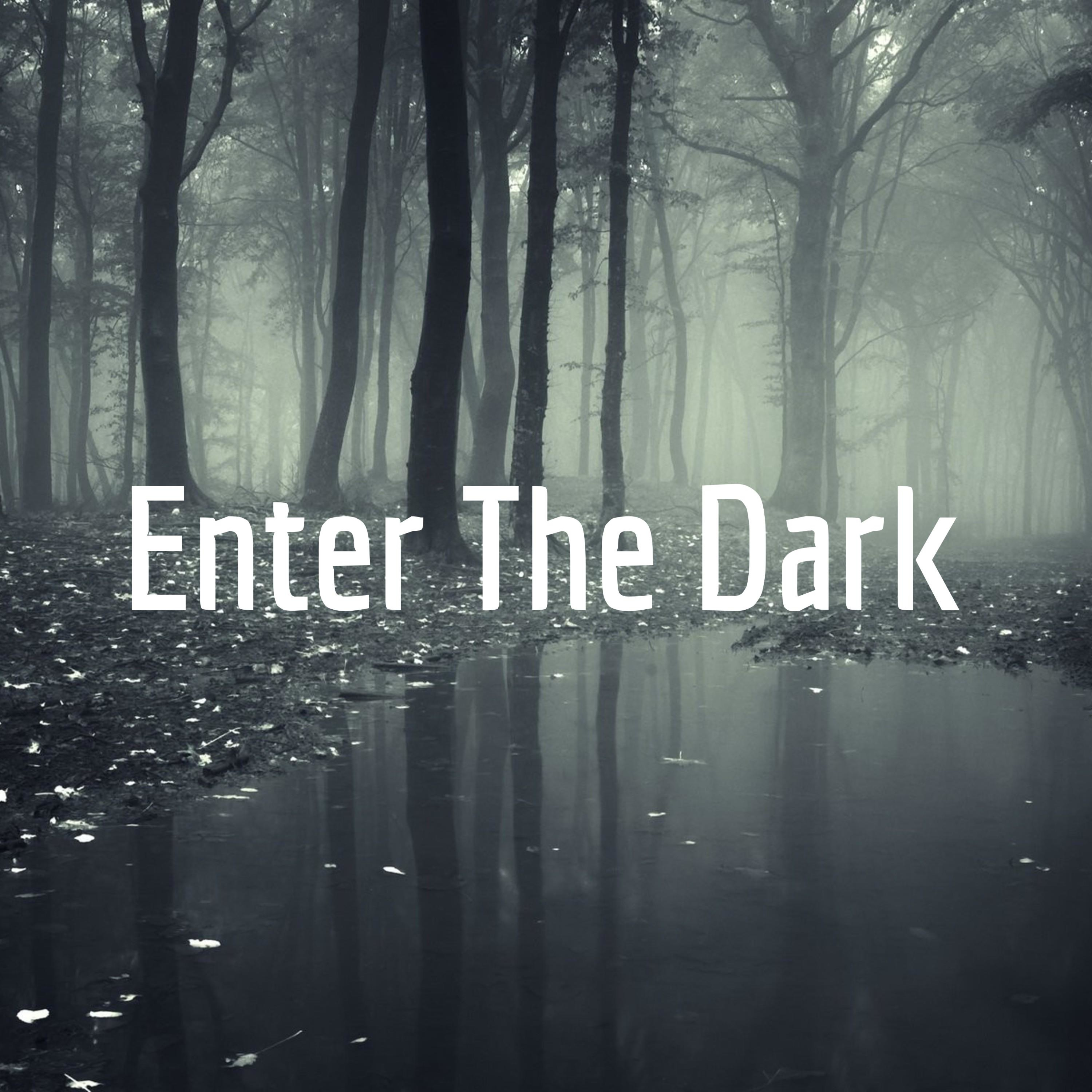 Enter The Dark