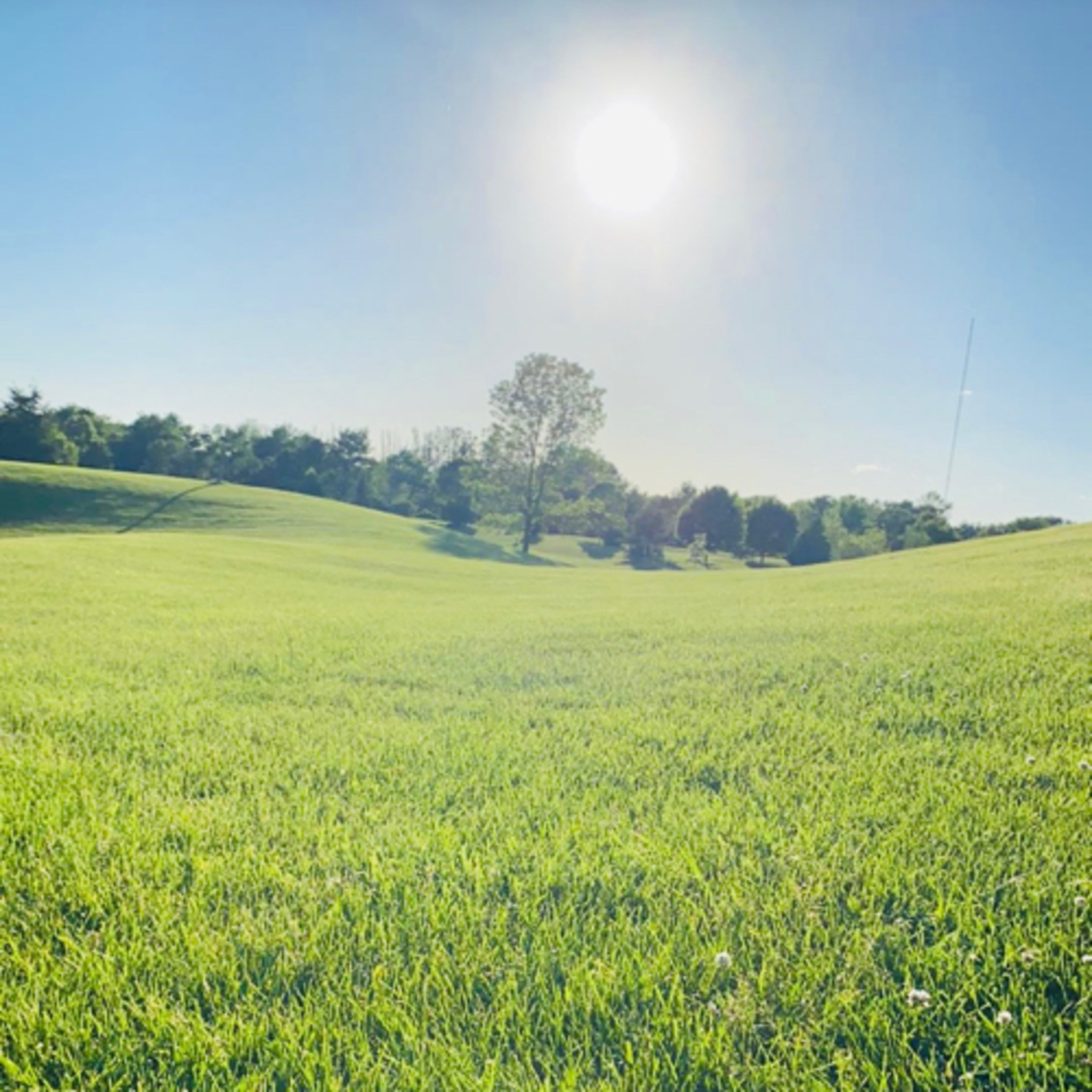 OptimistFam Mindful Meditations