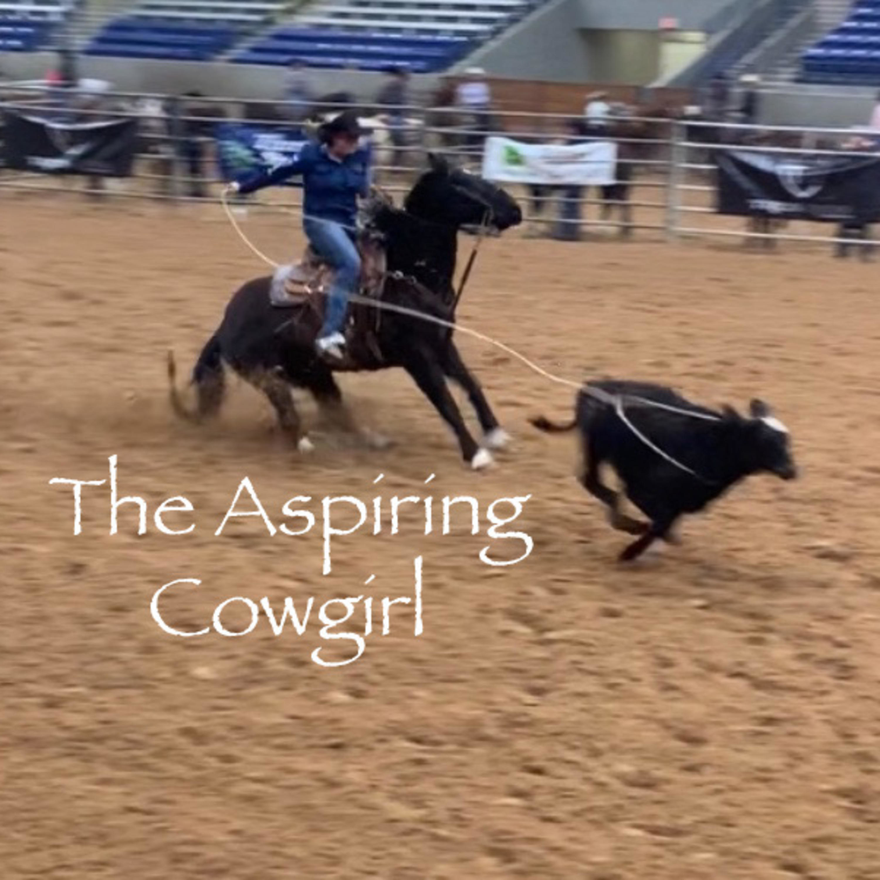 The Aspiring Cowgirl Aspiring Champions