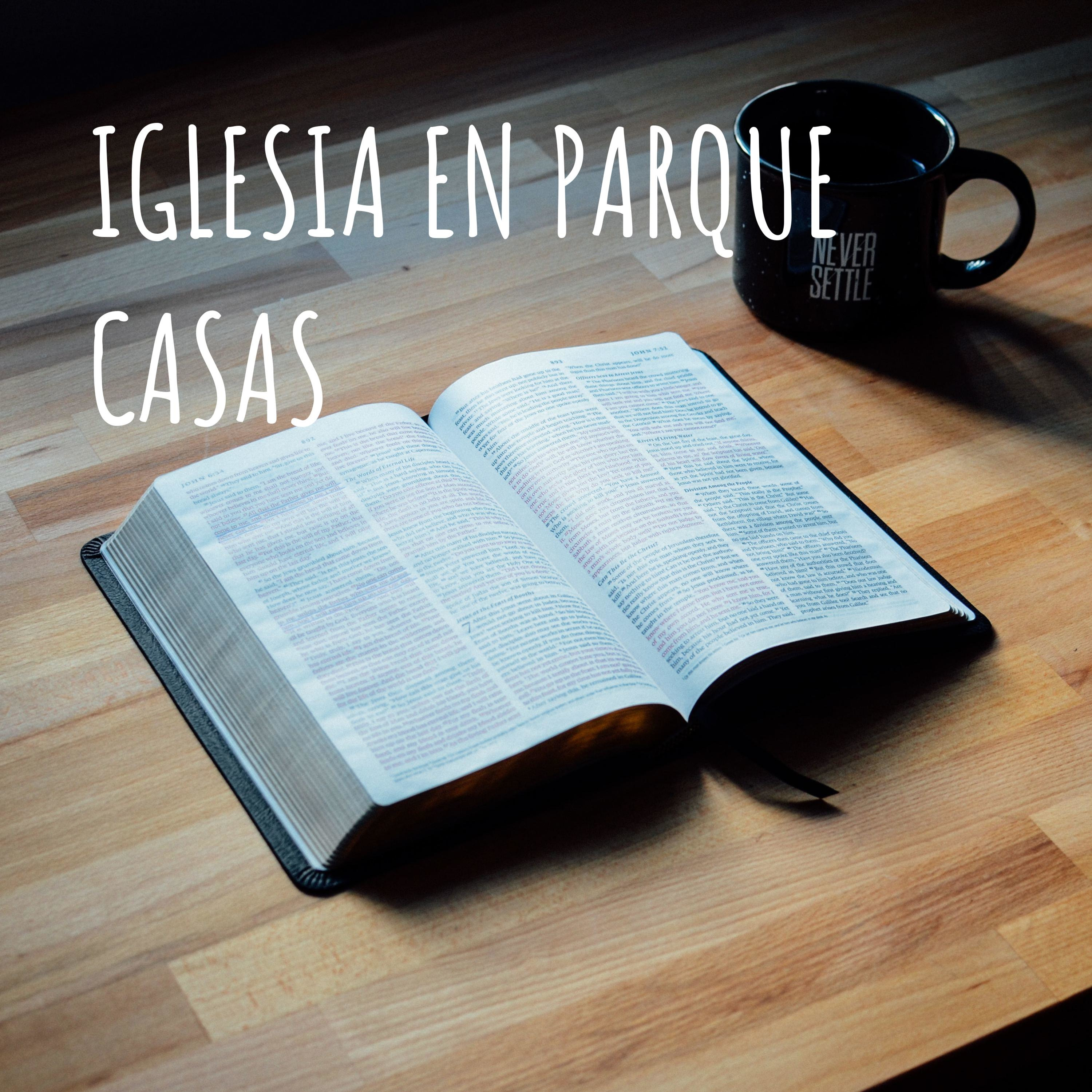 IGLESIA EN PARQUE CASAS