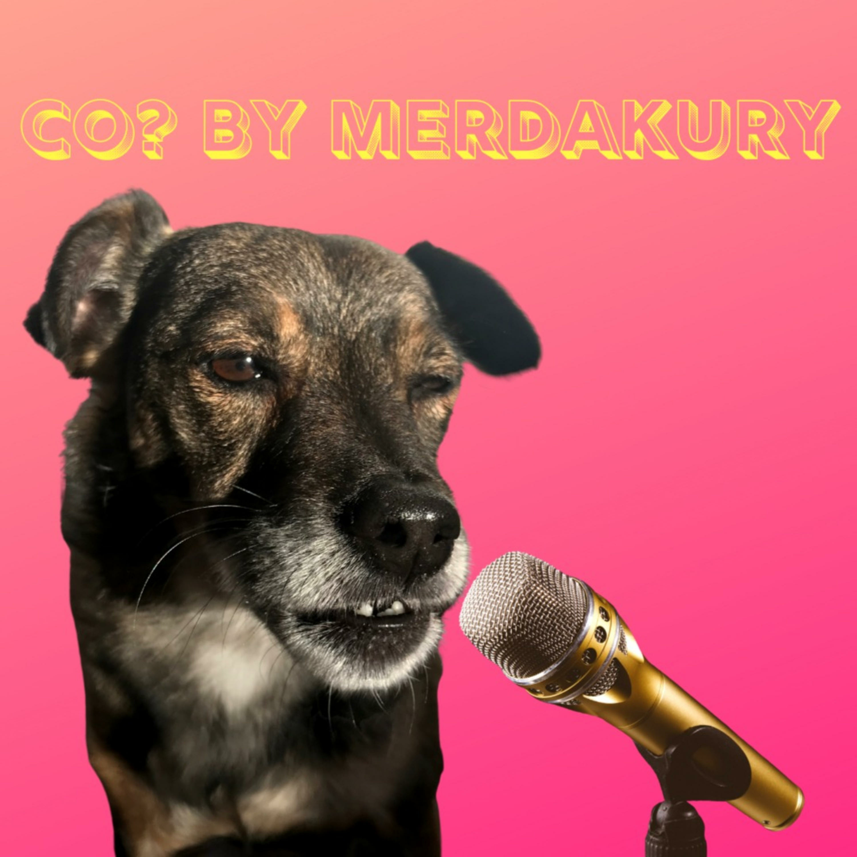 CO? By Merdakury podcast artwork
