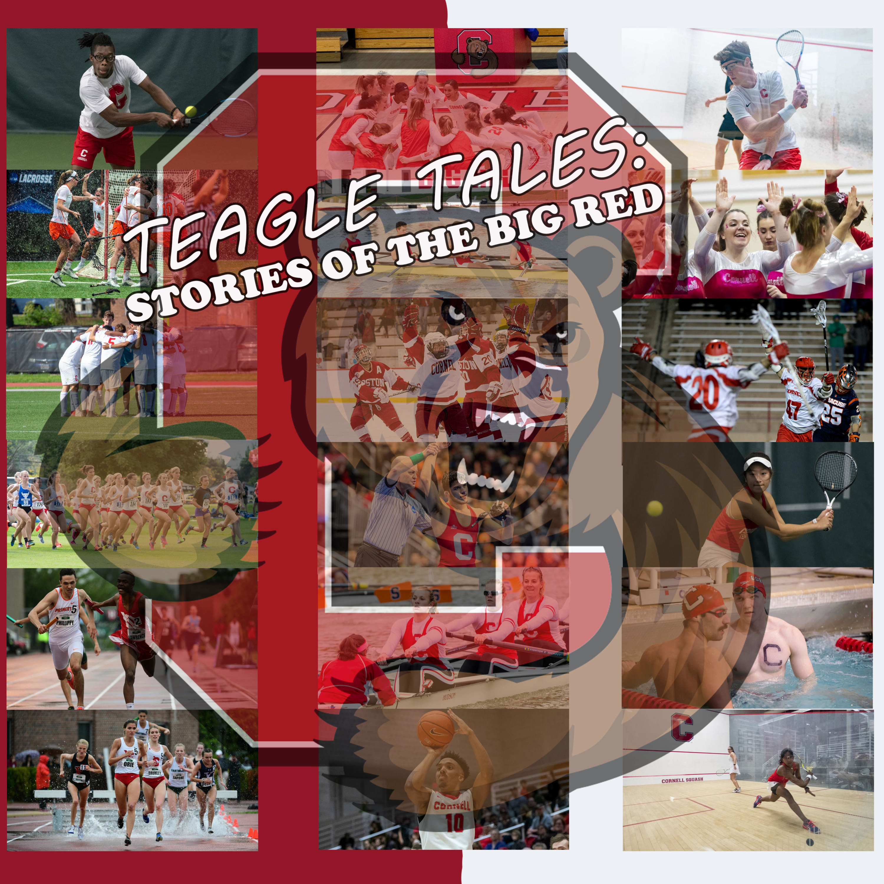 Teagle Tale #3: Home is where the ice is