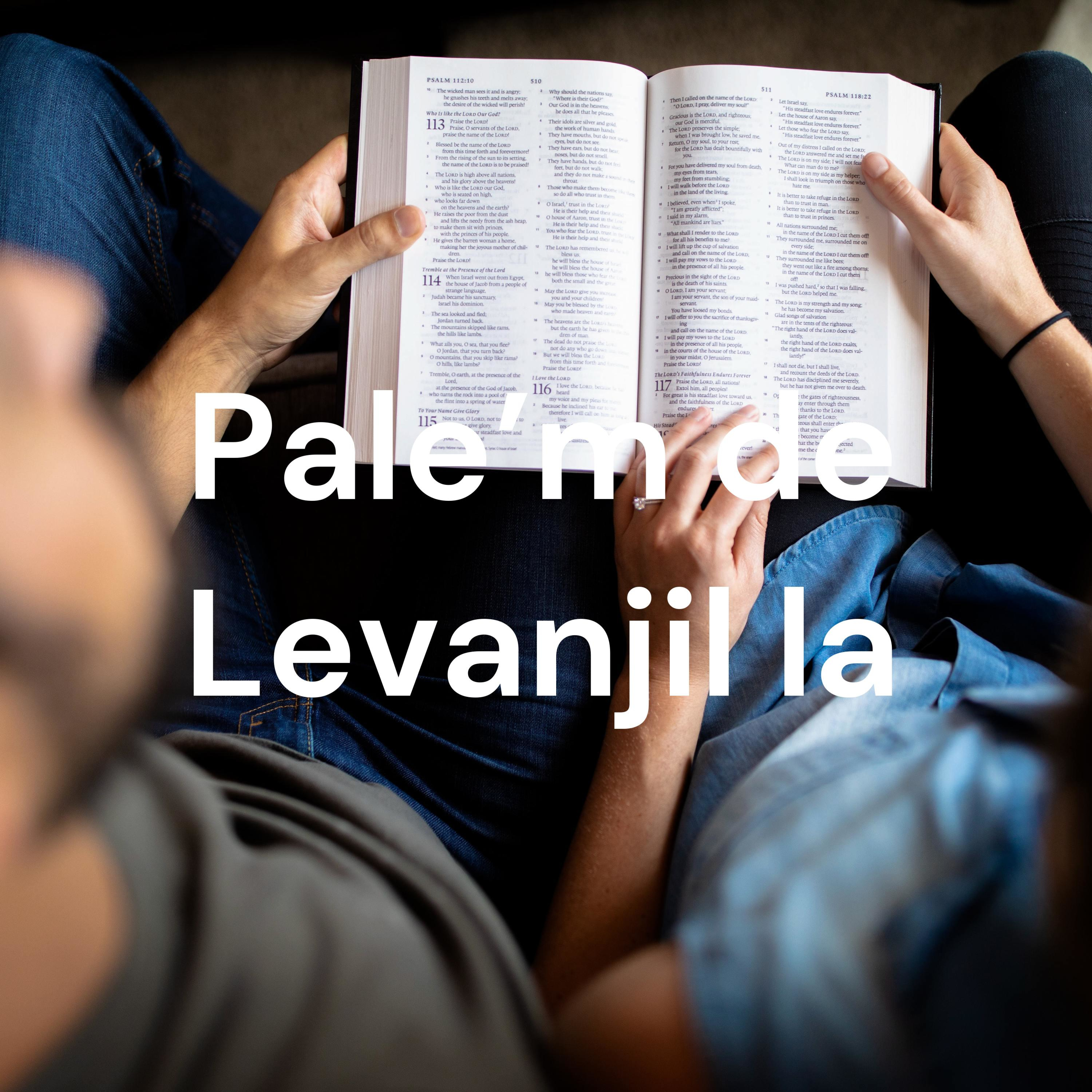 Pale\'m de Levanjil la