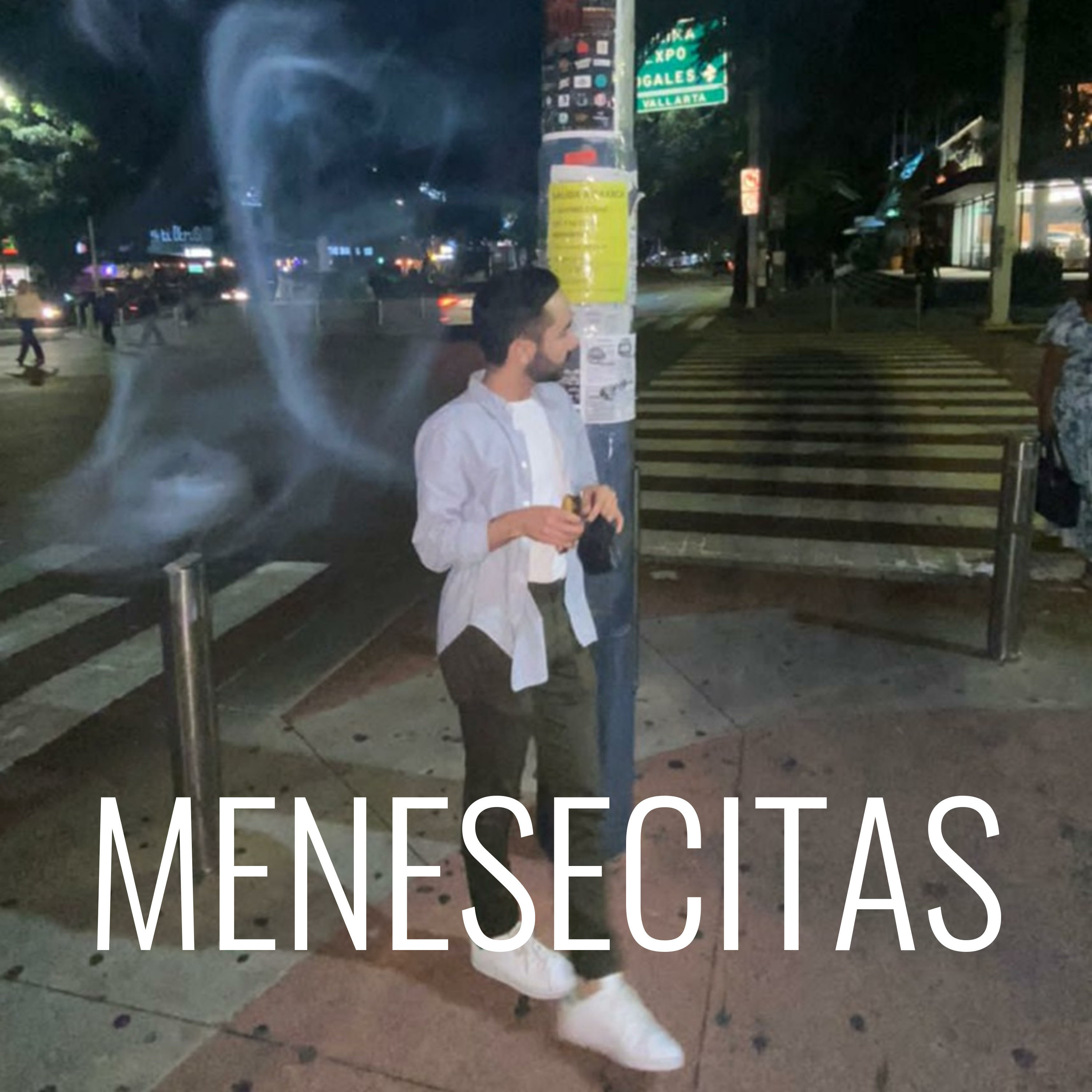 MENESECITAS