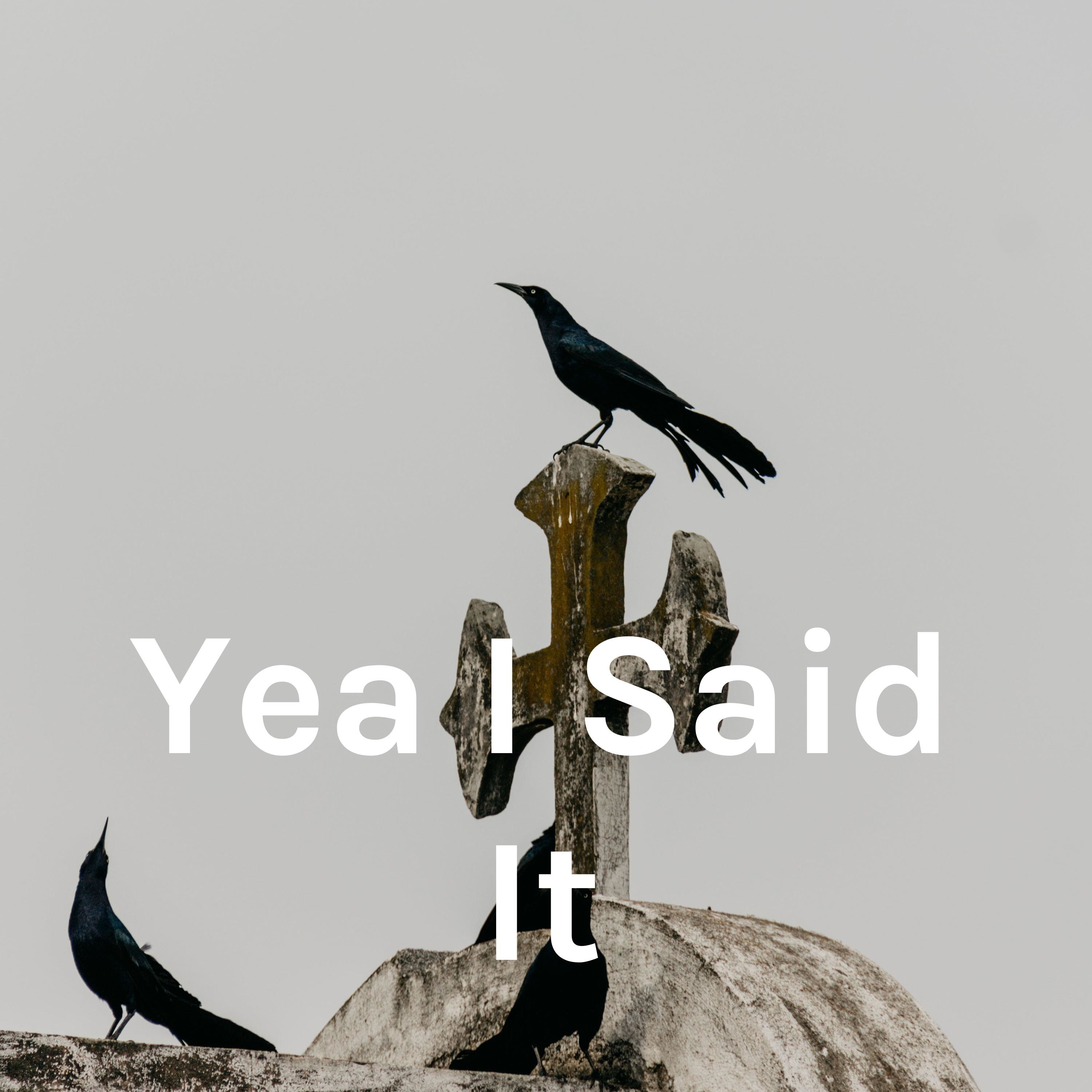 Yea I Said It podcast artwork
