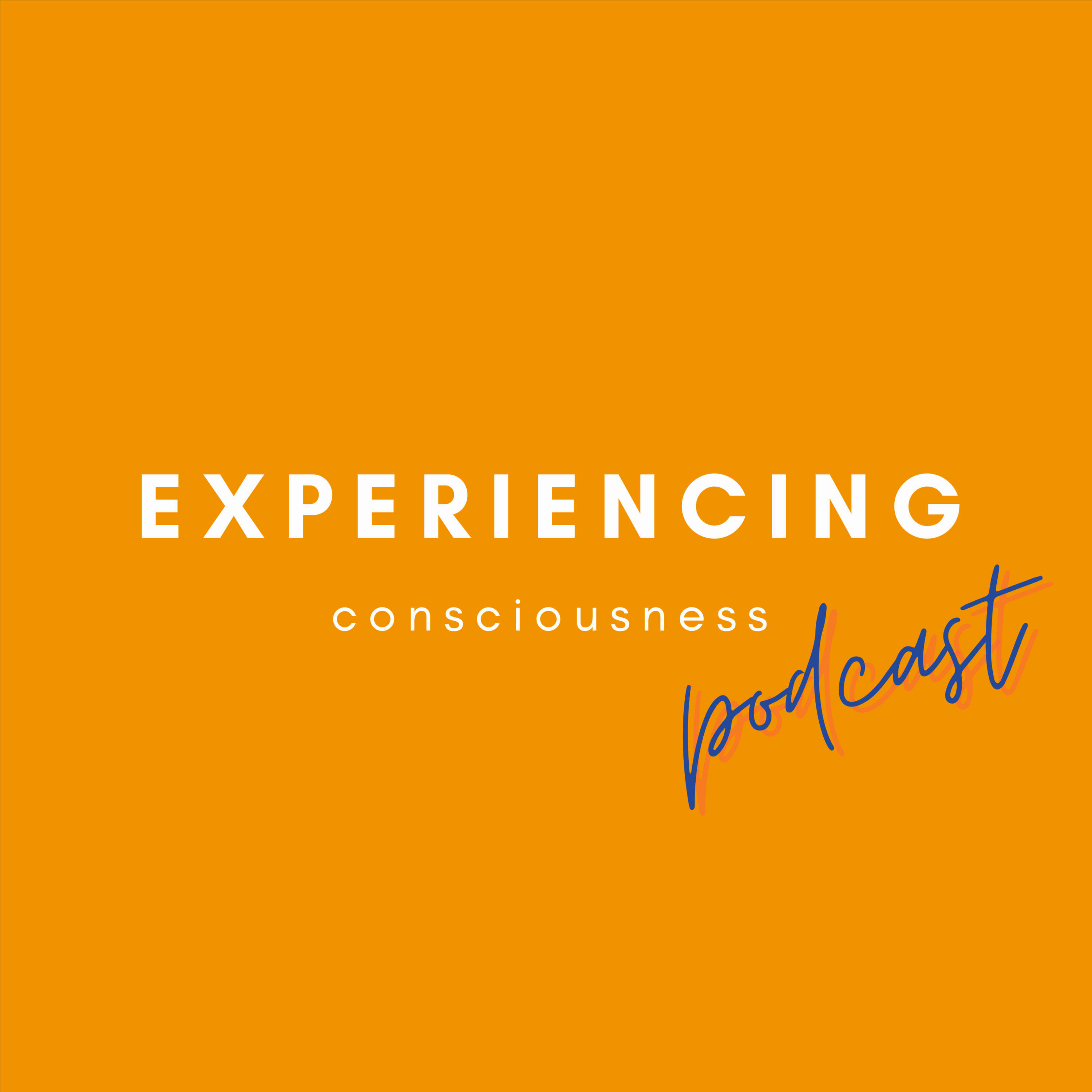 Experiencing Consciousness with Kathryn L. Rossi & Jan Dyba