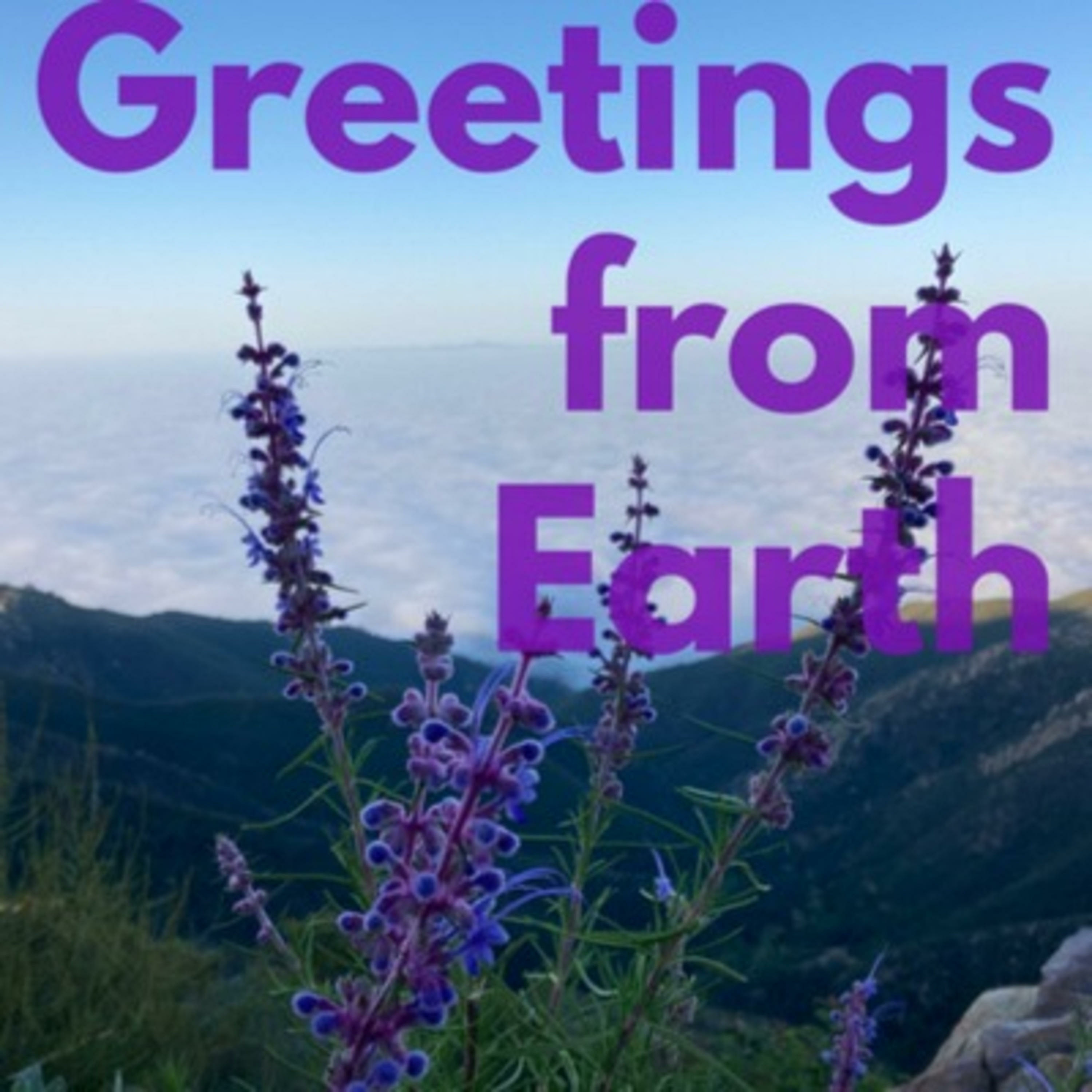 Greetings From Earth