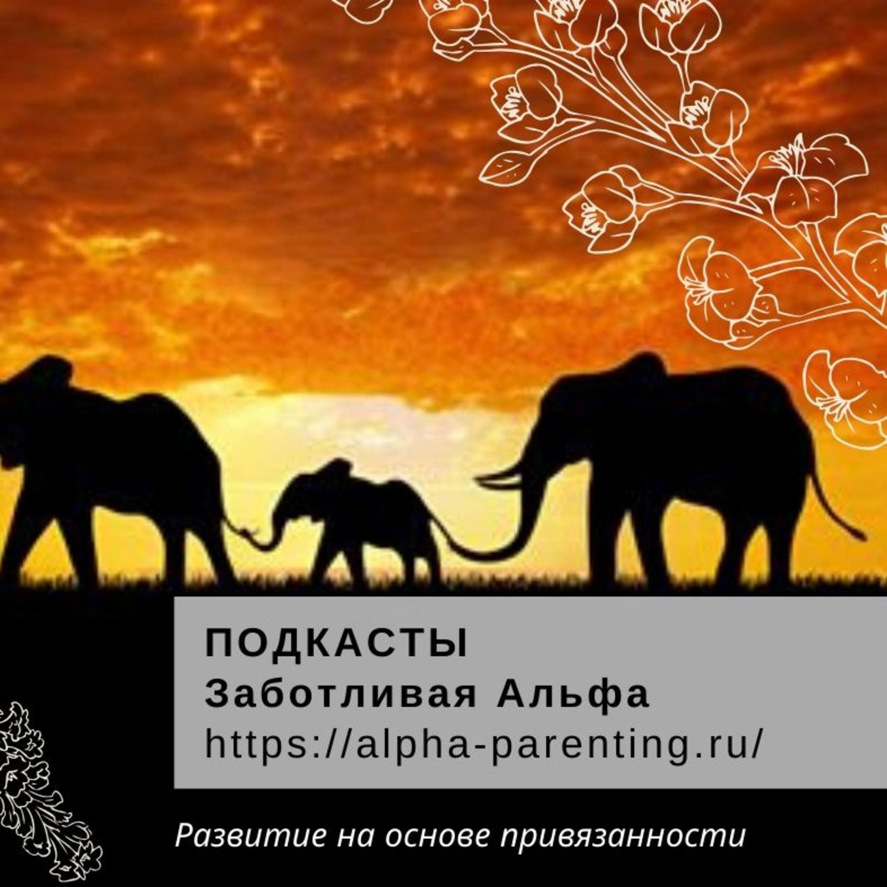 Механизм привязанности: иерархия или равноправие?