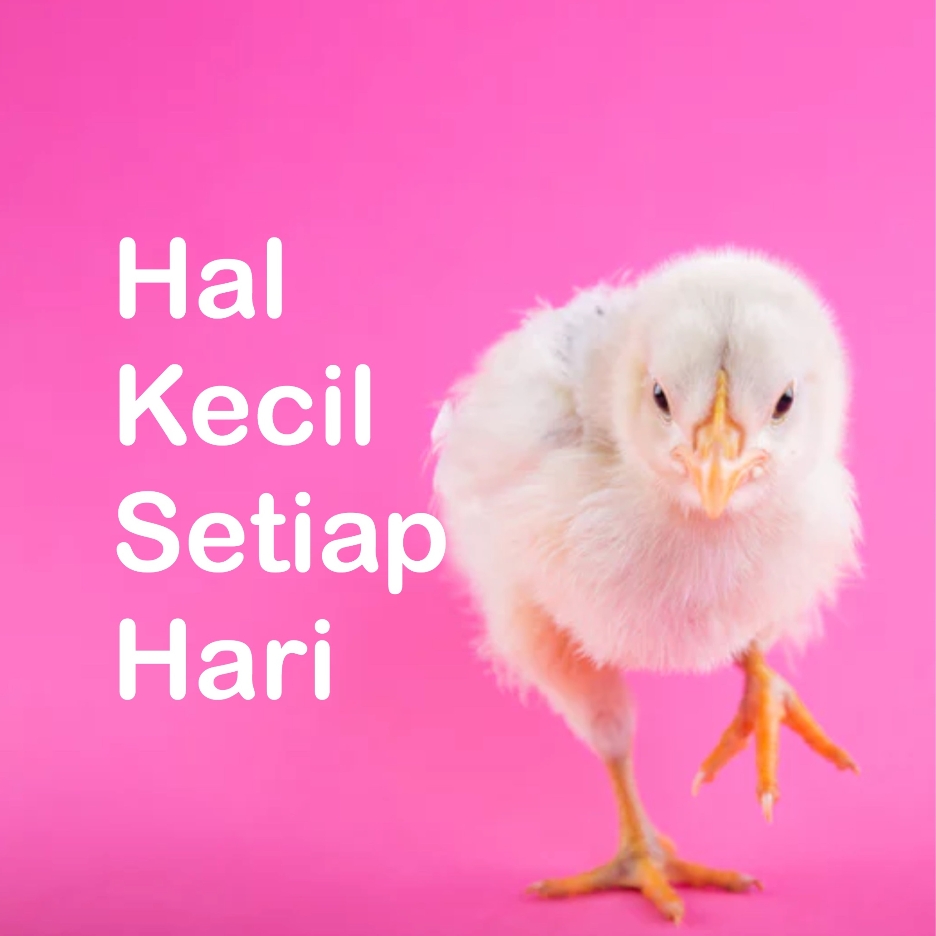 kecil tapi setiap hari