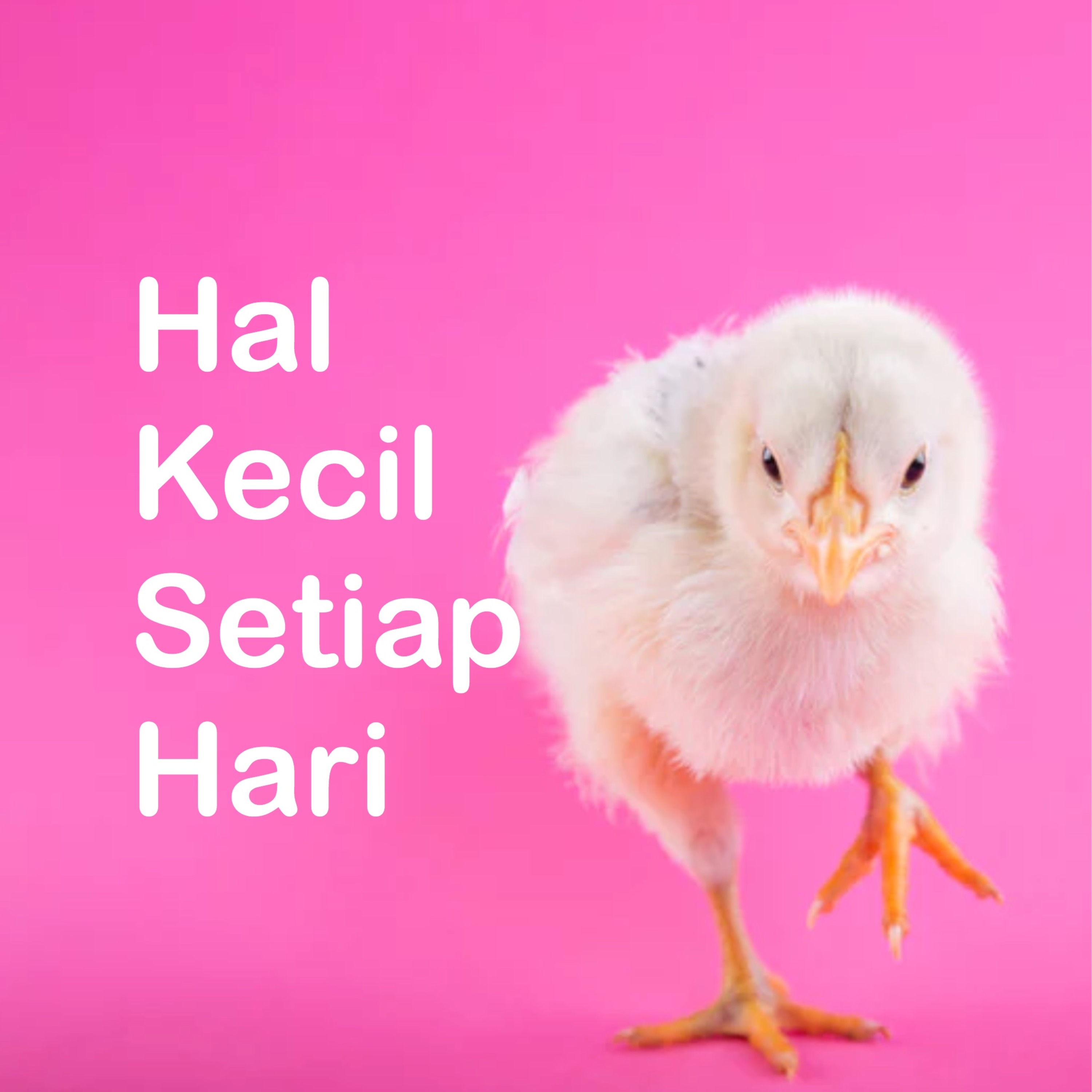 kecil tapi setiap hari