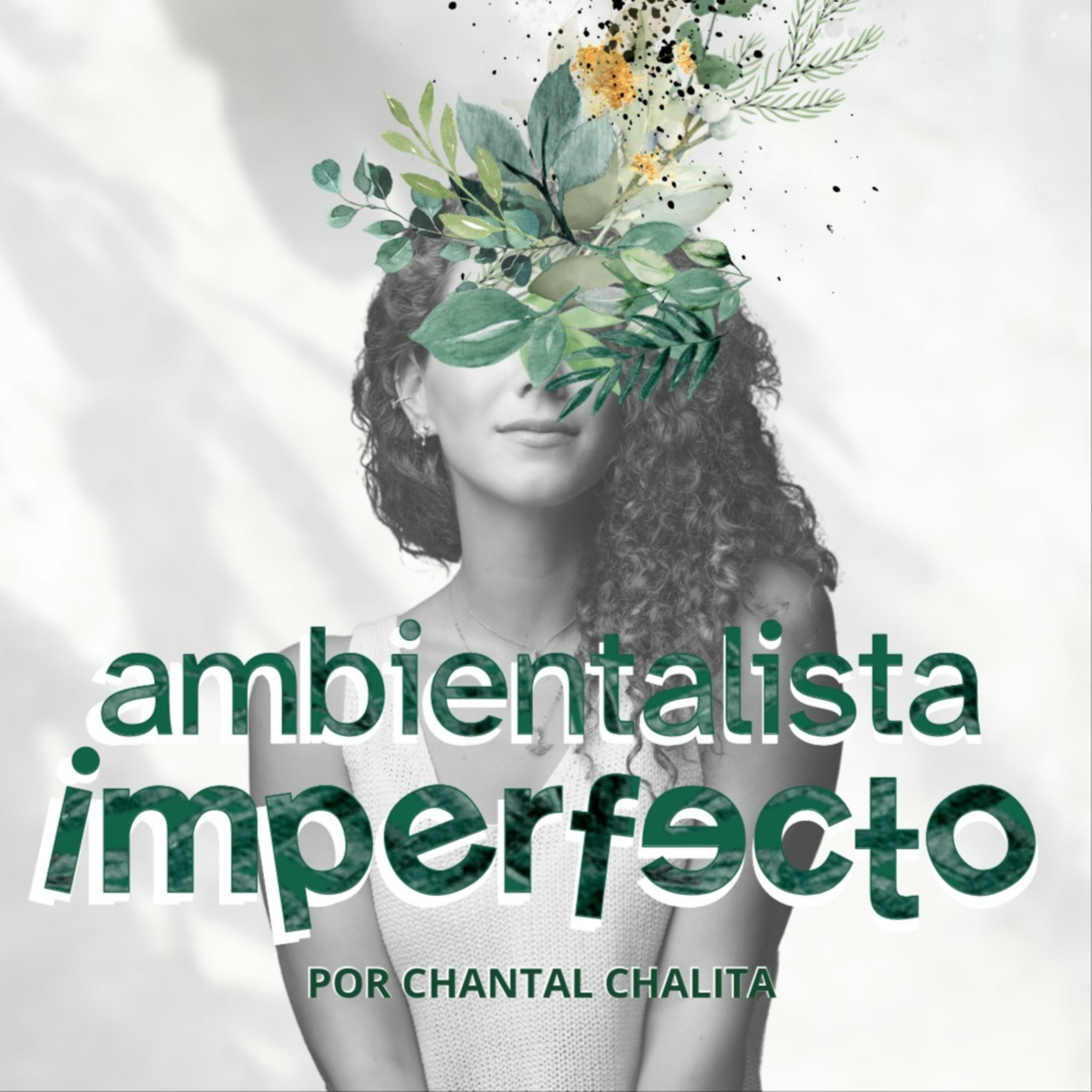 Ambientalista Imperfecto