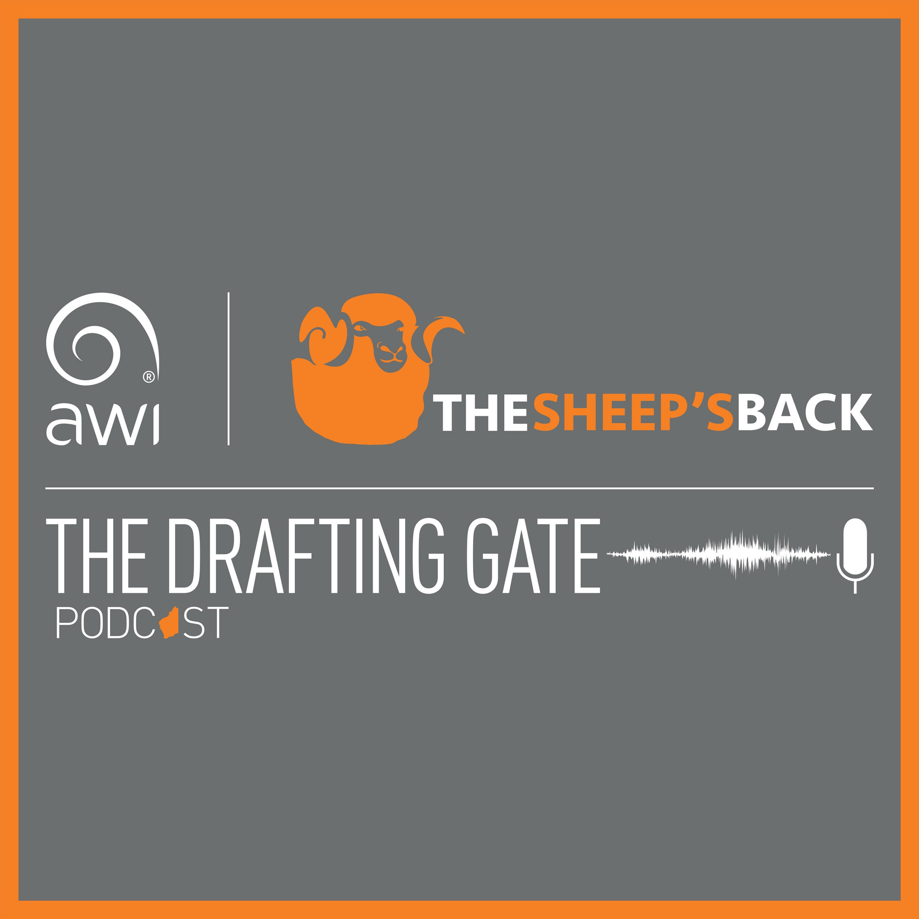 The Drafting Gate cover art