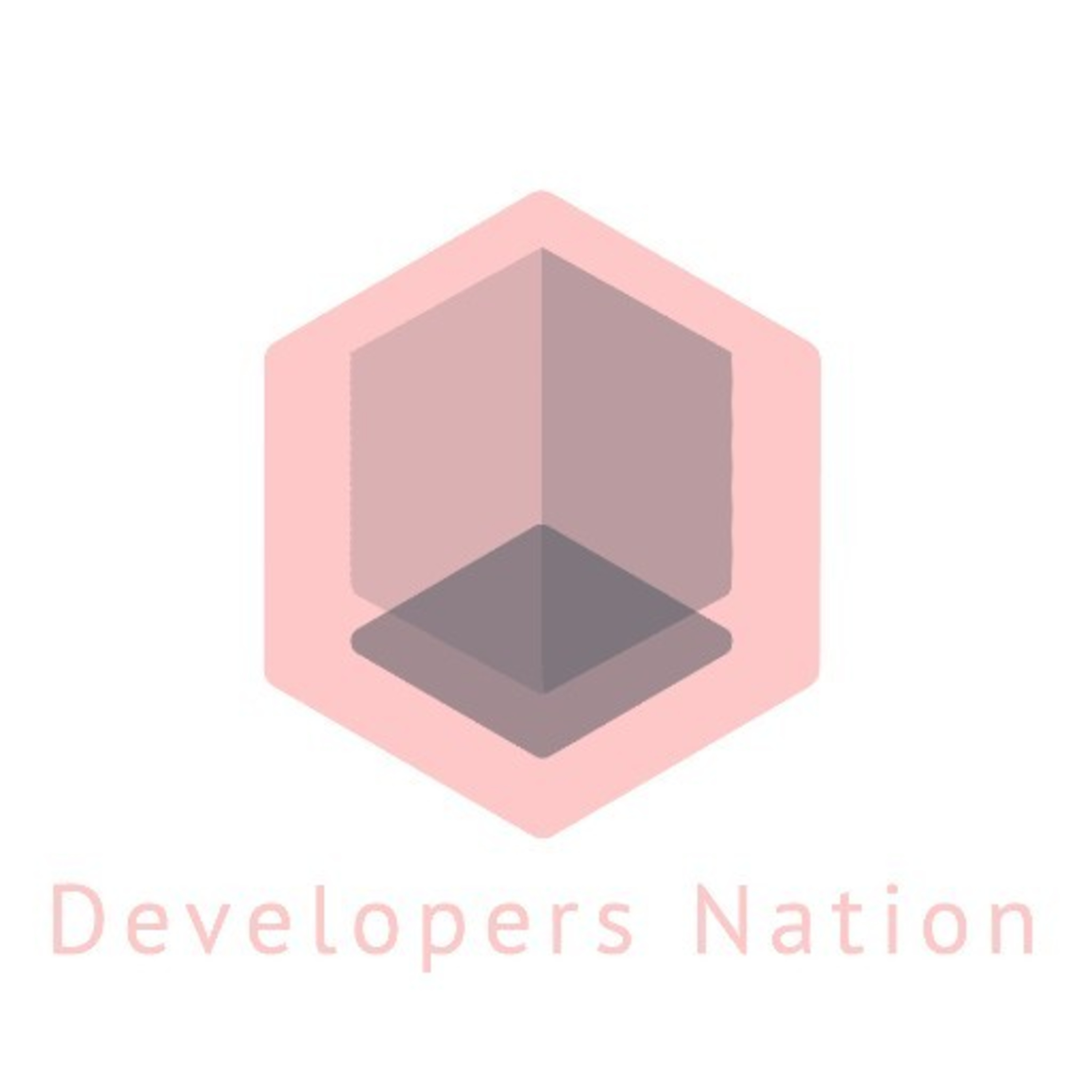 DEVELOPERS NATION 