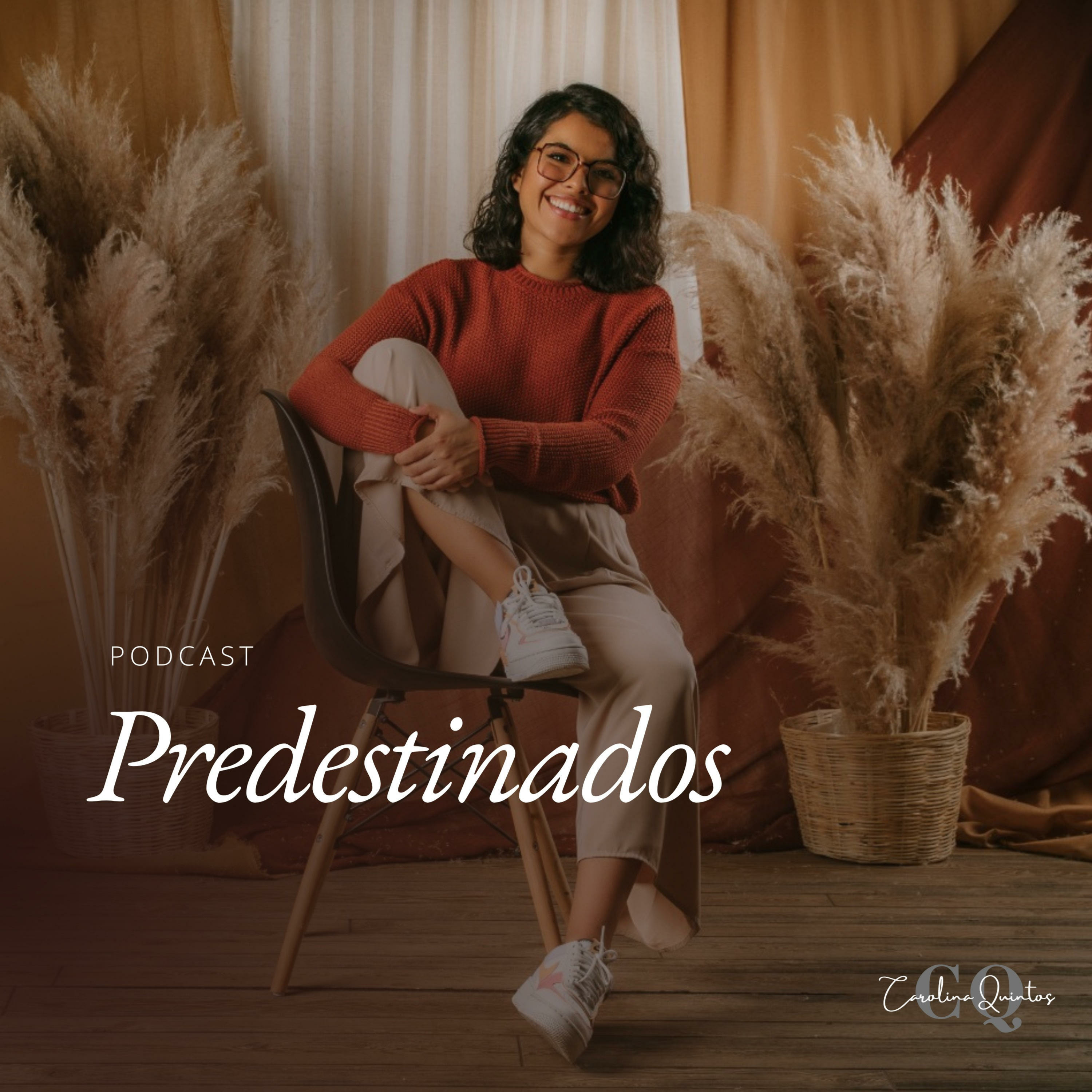 Predestinados cover