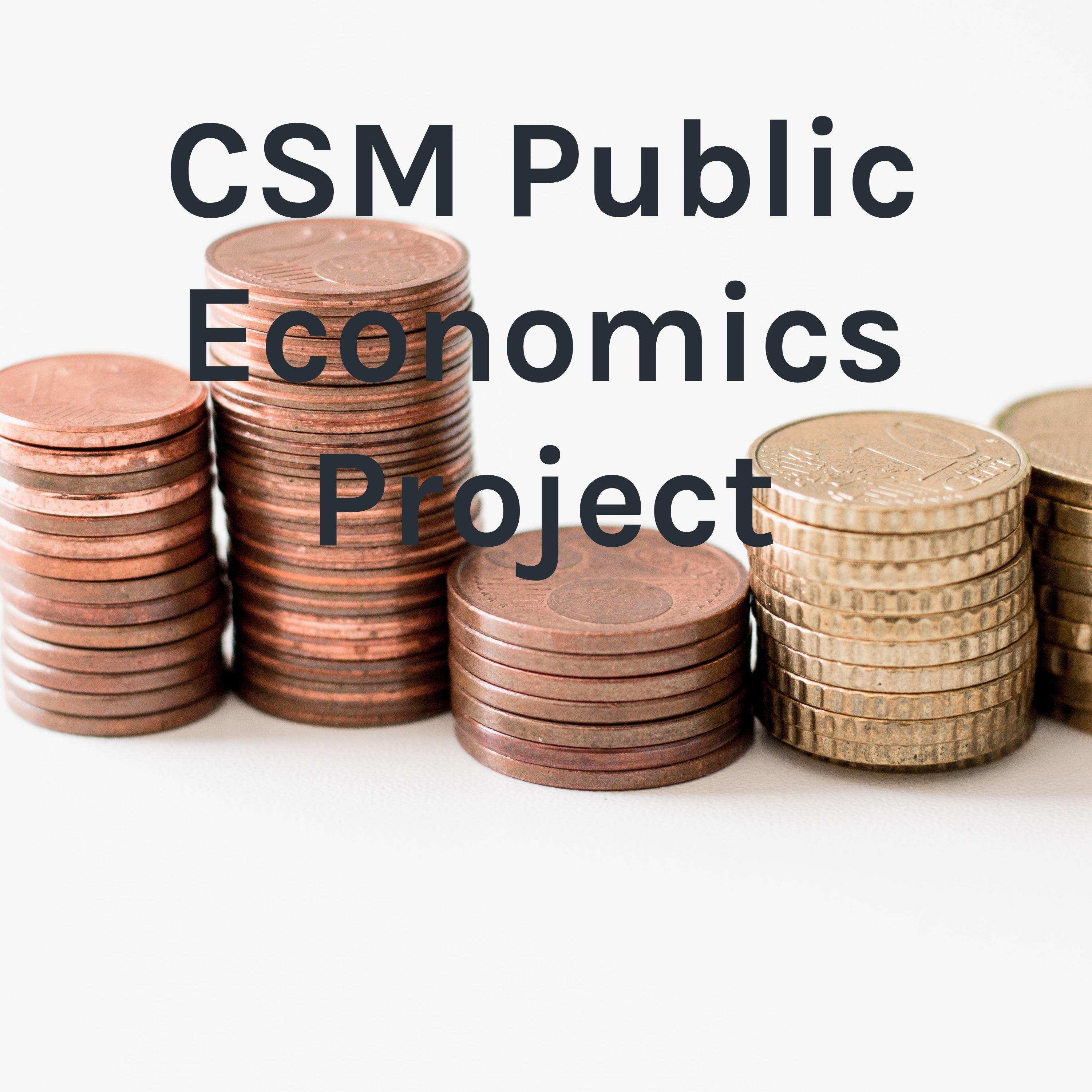 CSM Public Economics Project