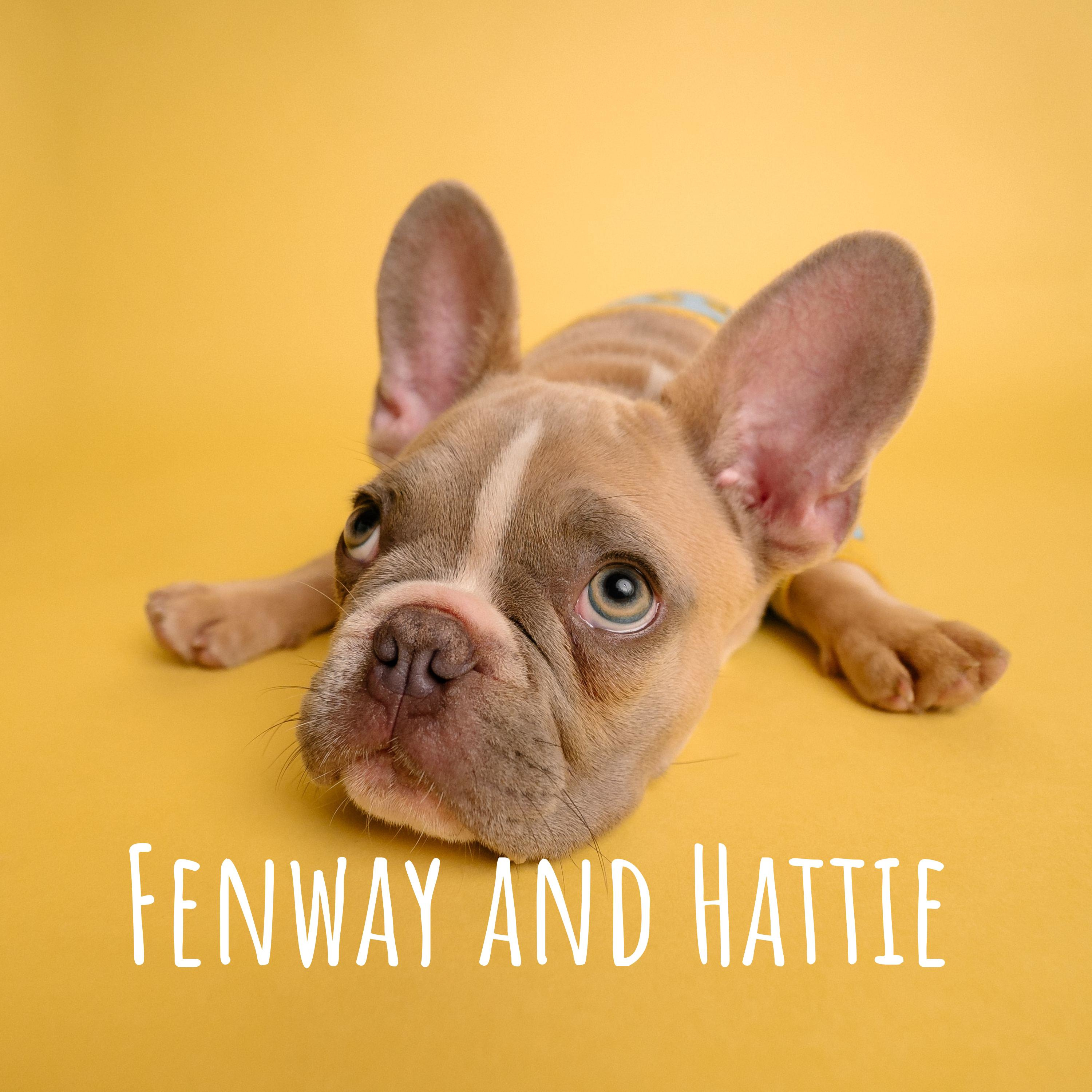 Fenway and Hattie