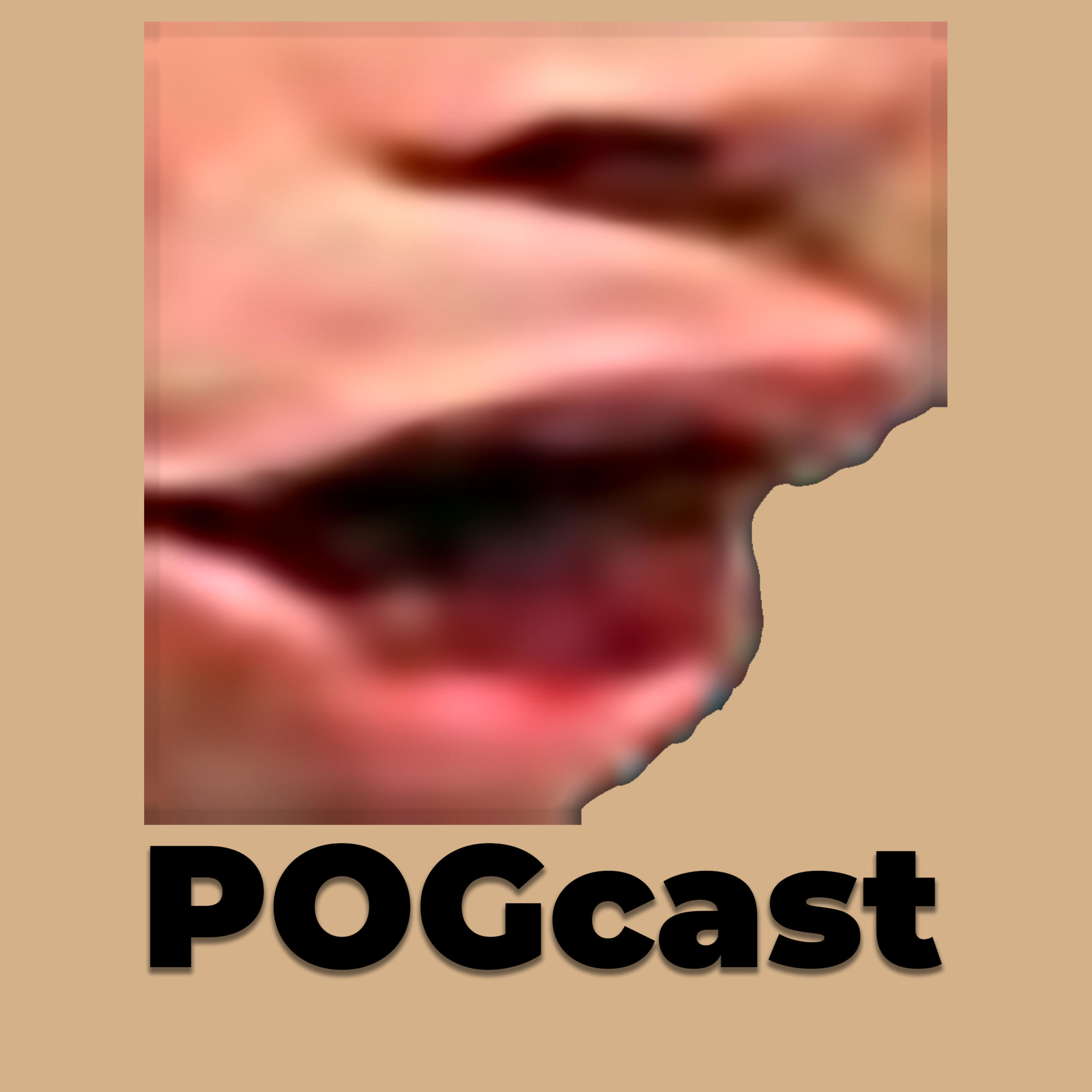 POGcast podcast artwork