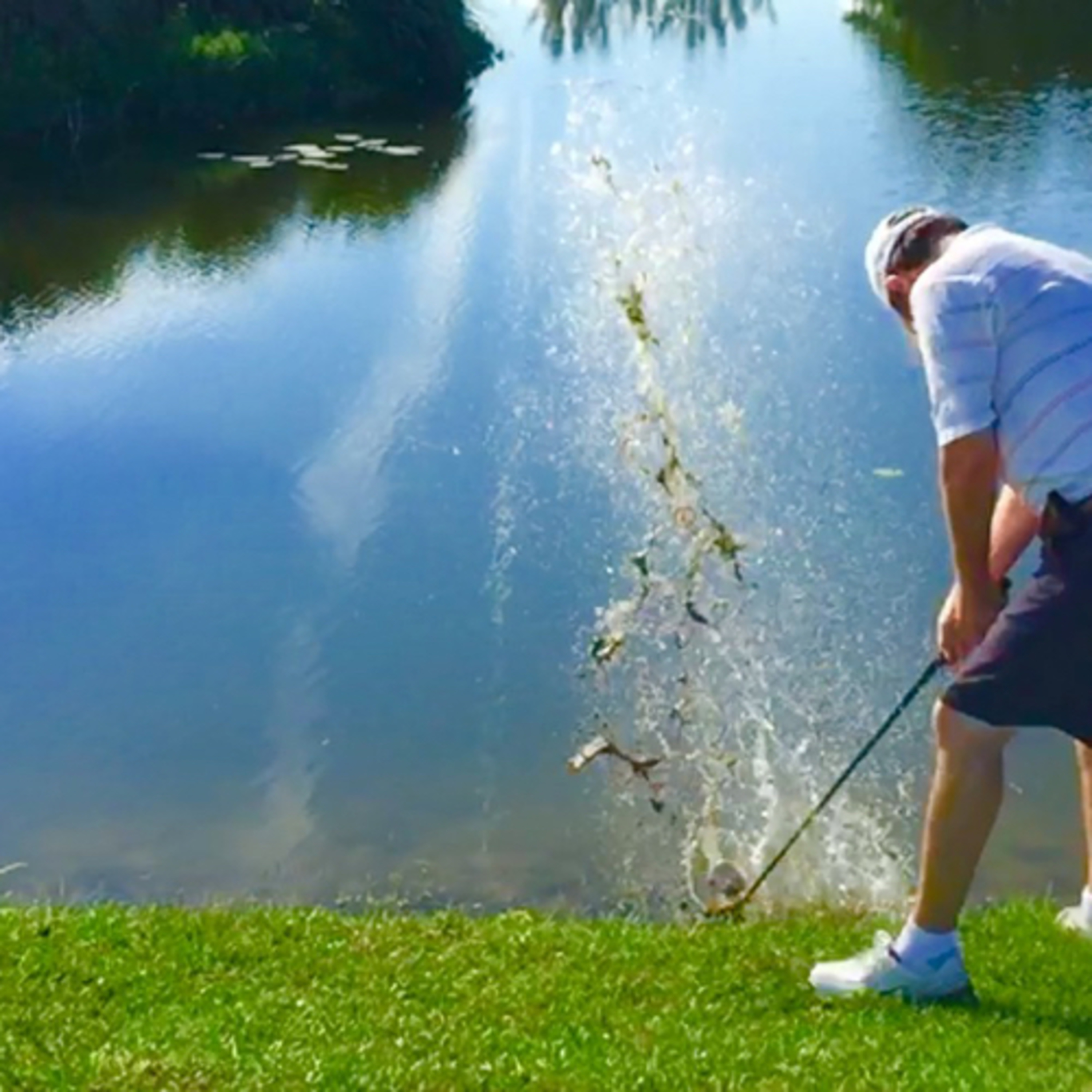 Fresh Off the Course