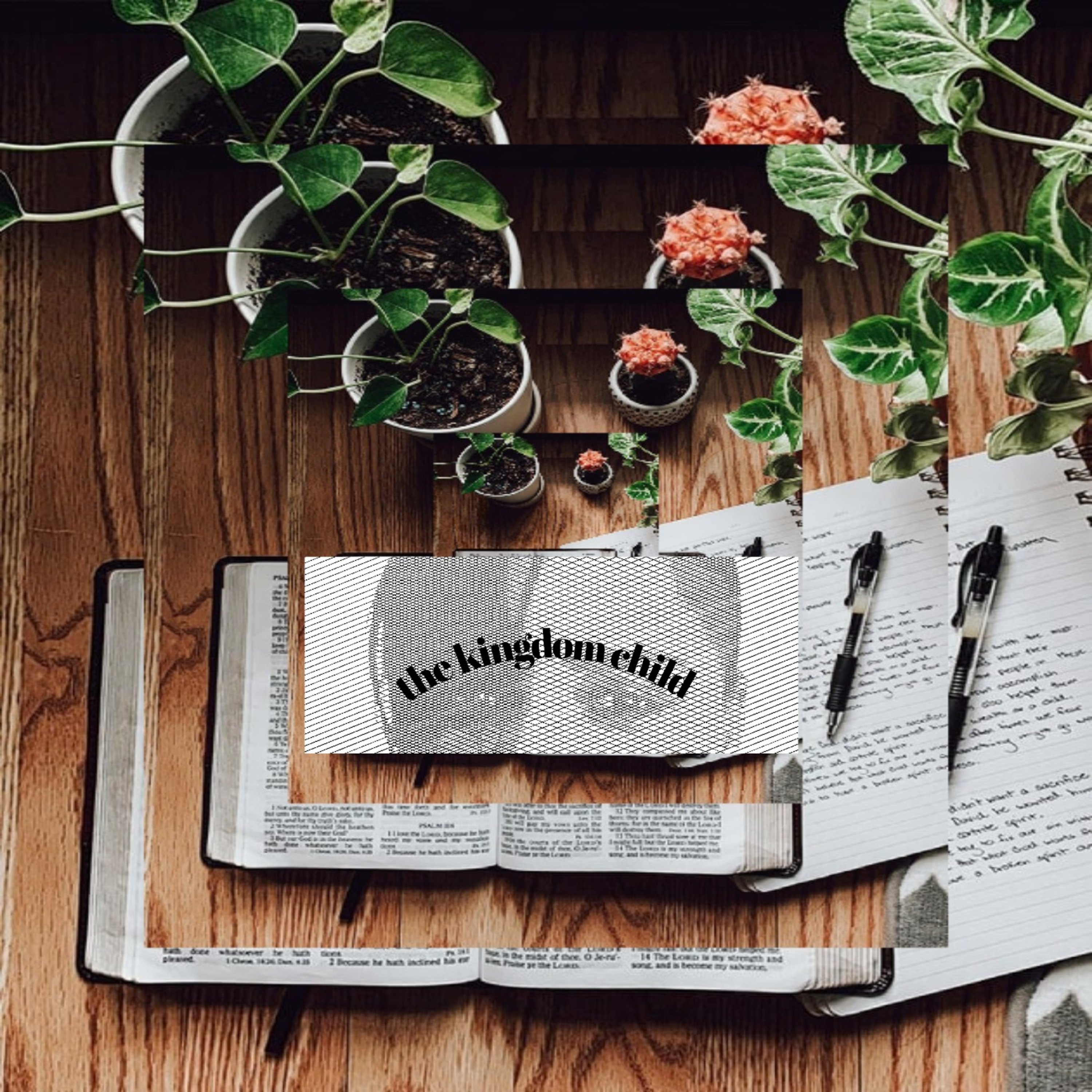The Kingdom of Heaven\'s Teachings