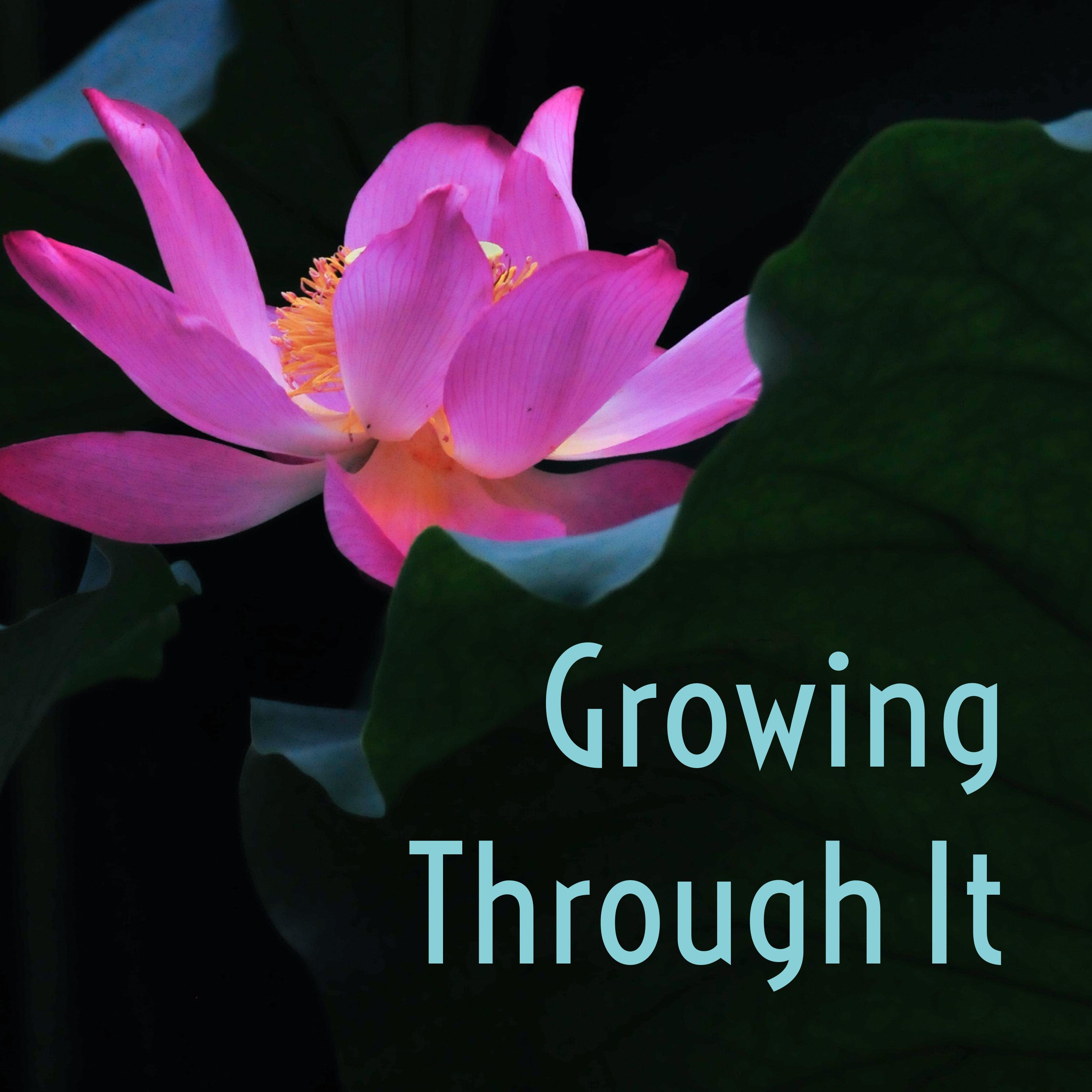 Growing Through It by The Growth Path Project