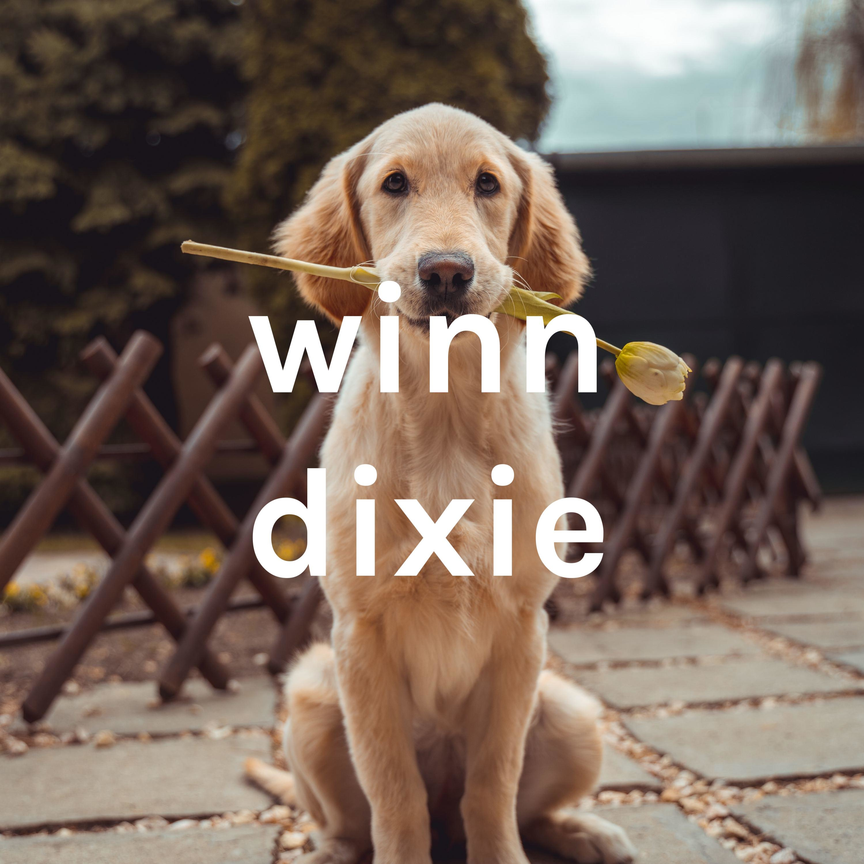 winn dixie