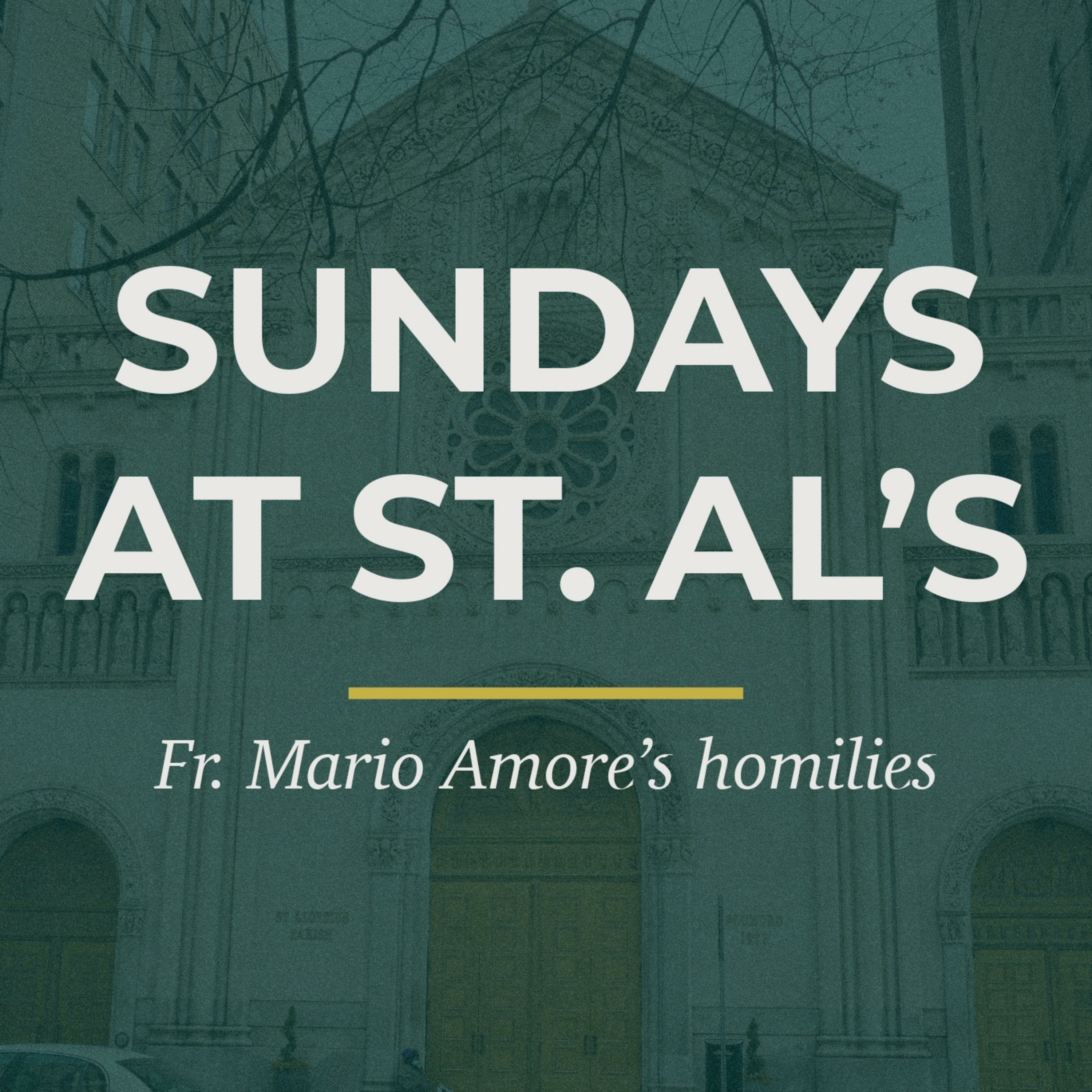 Homily for October 23, the Thirtieth Sunday in Ordinary Time episode artwork