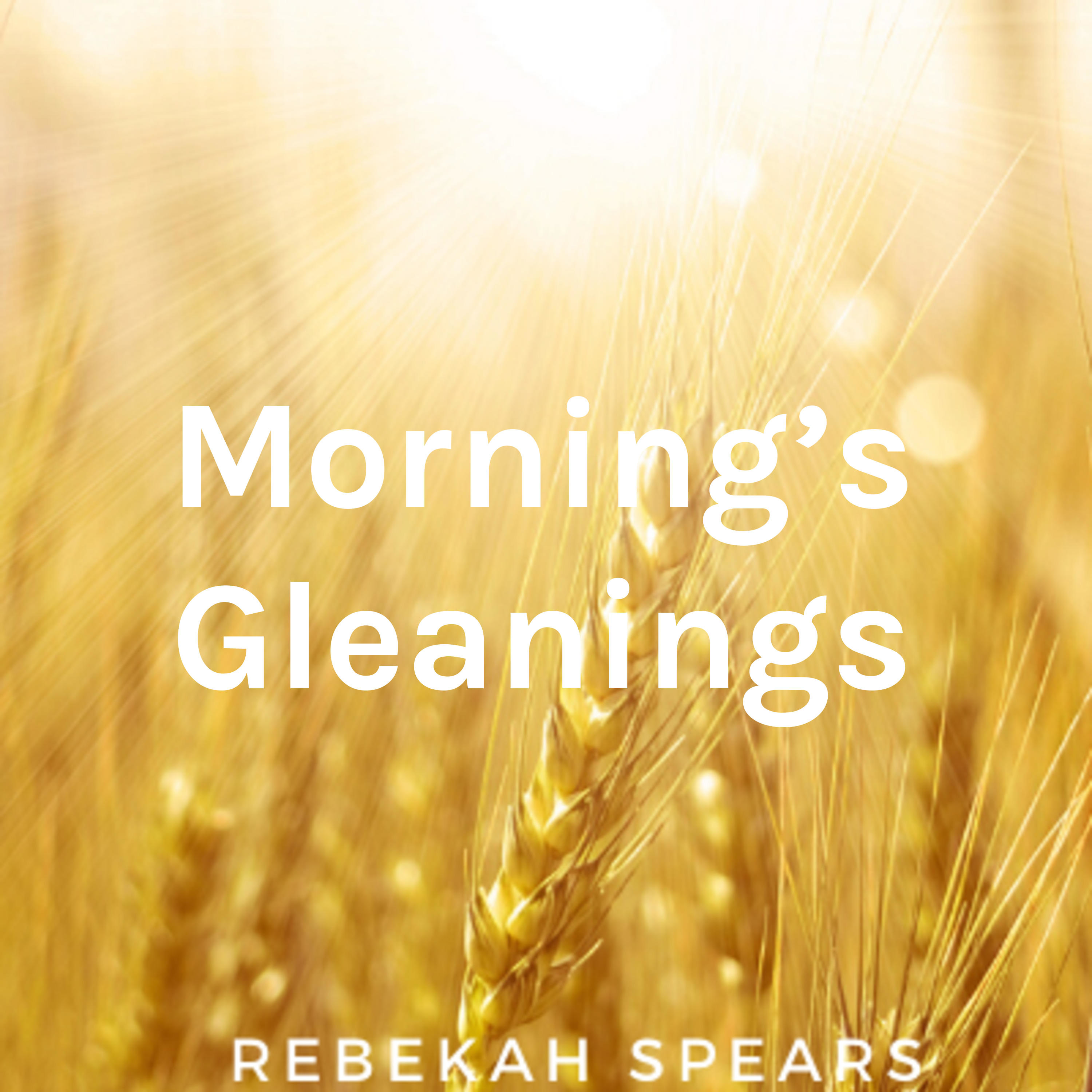 Morning's Gleanings