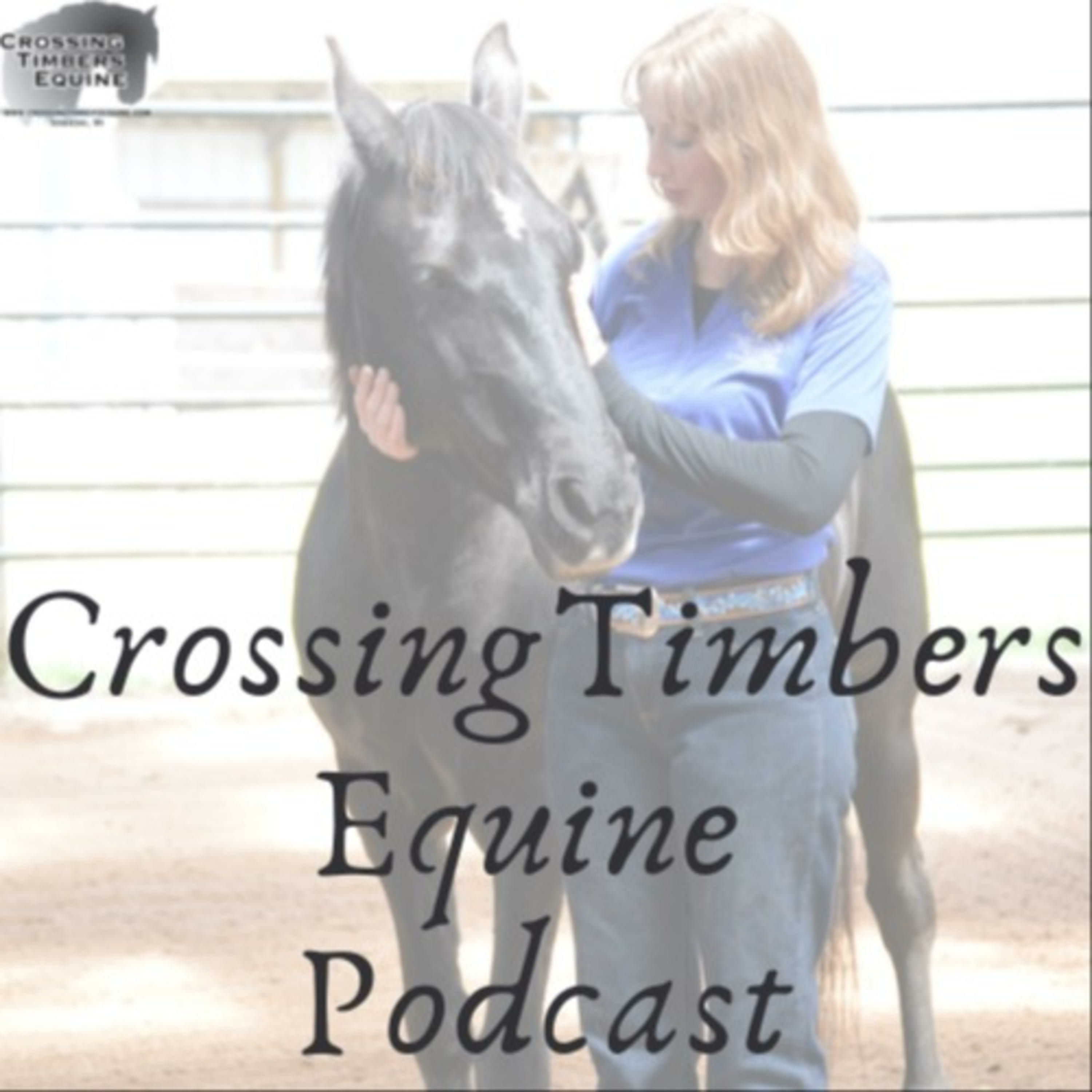 Crossing Timbers Equine Podcast podcast artwork