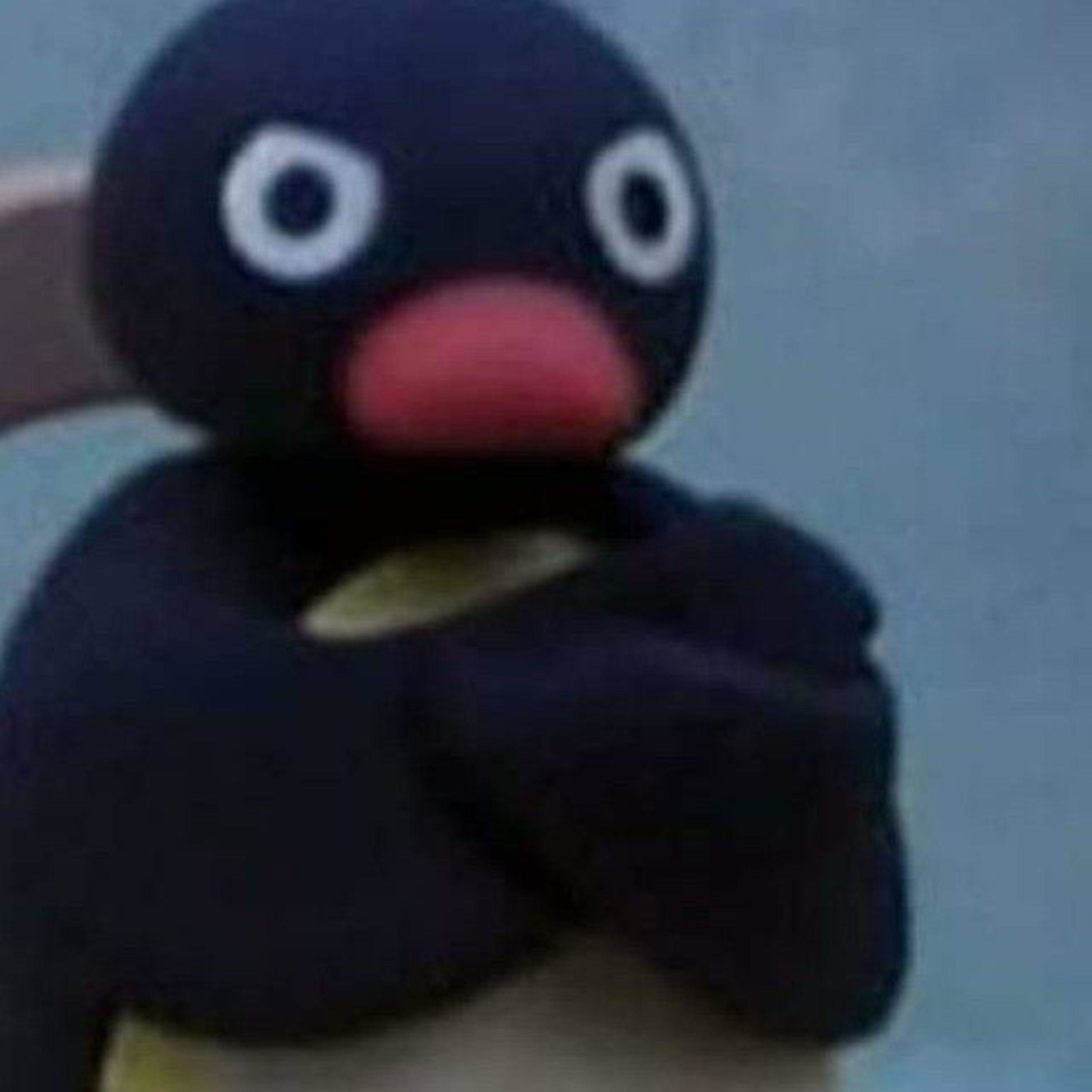 Paz não é uma opção