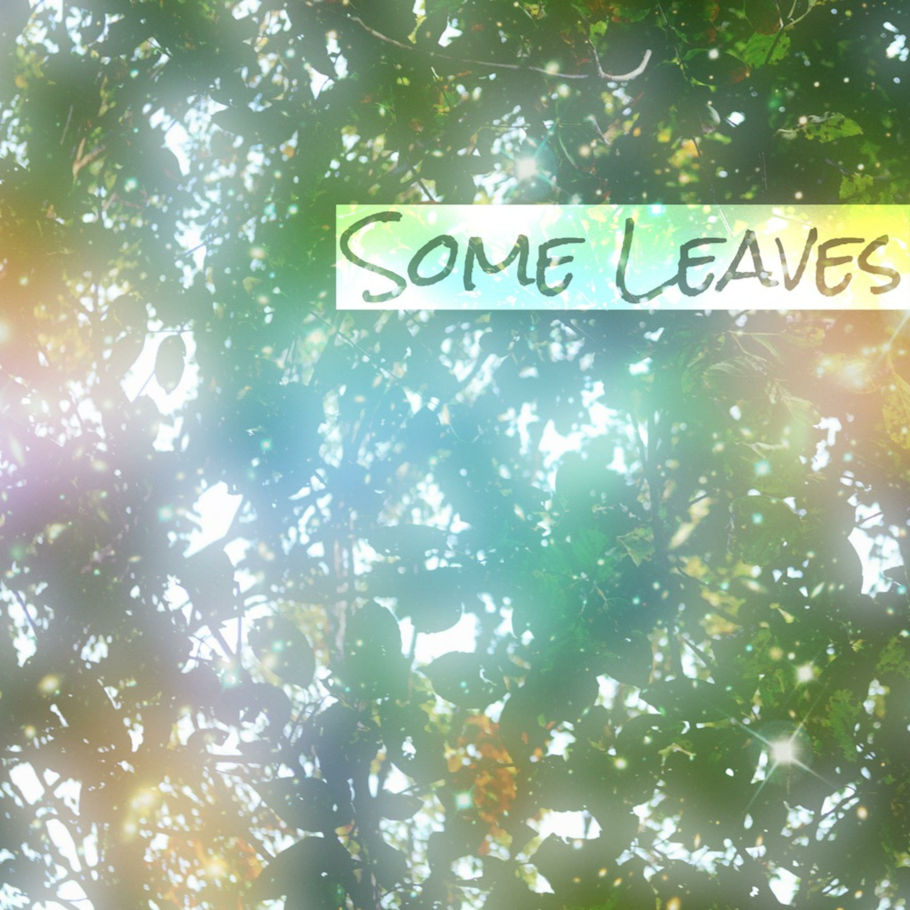 Some Leaves