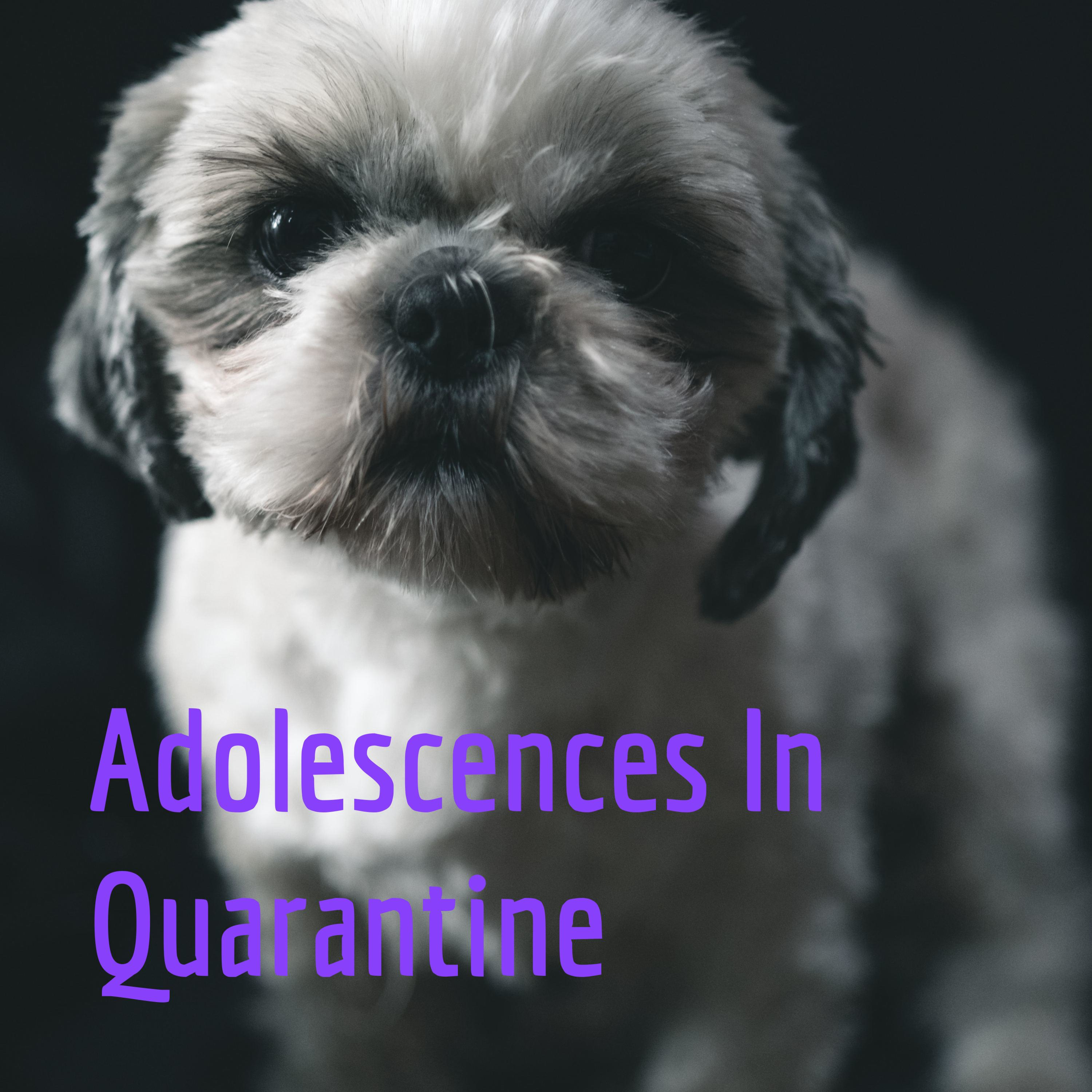 Adolescences In Quarantine