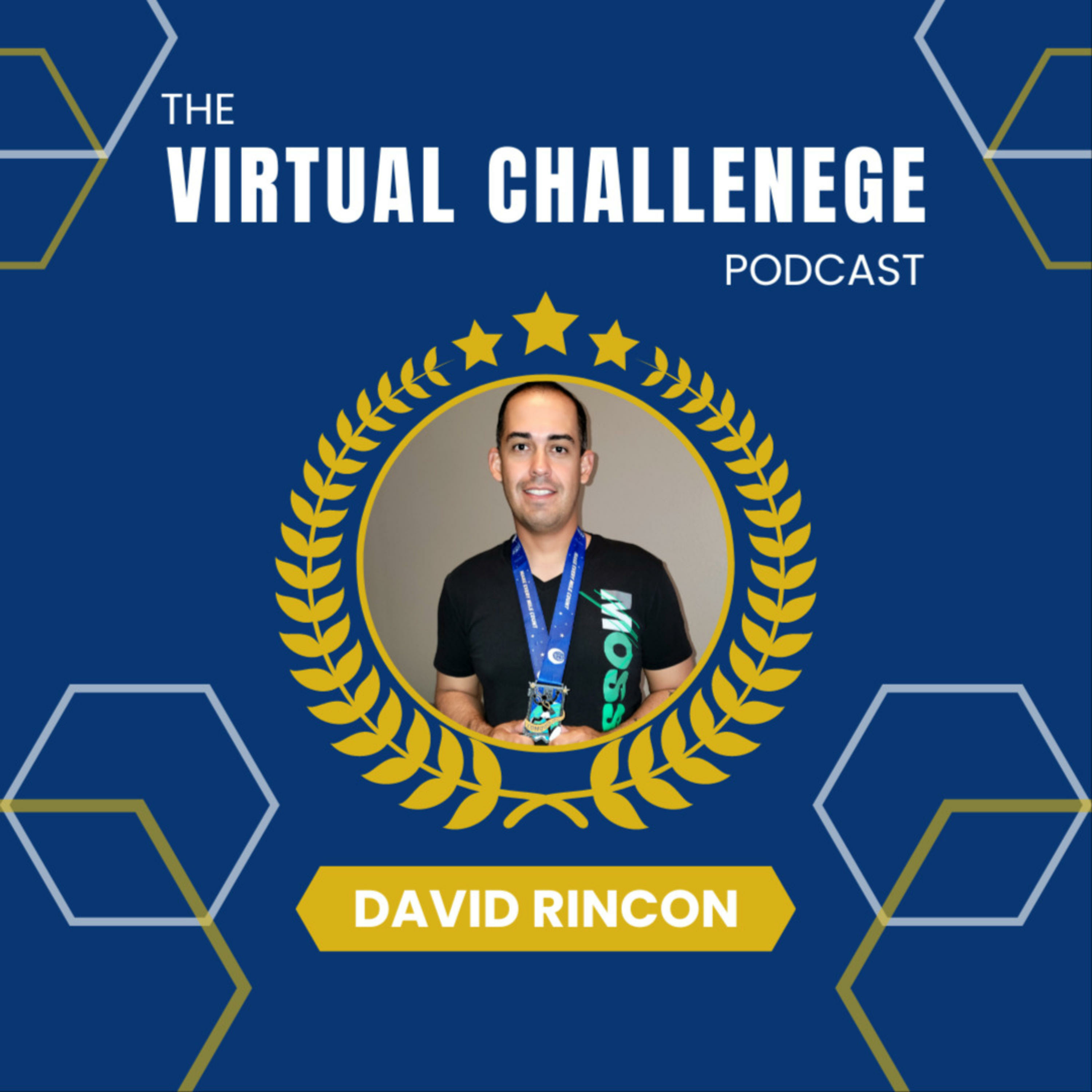 The Virtual Challenege Podcast podcast artwork