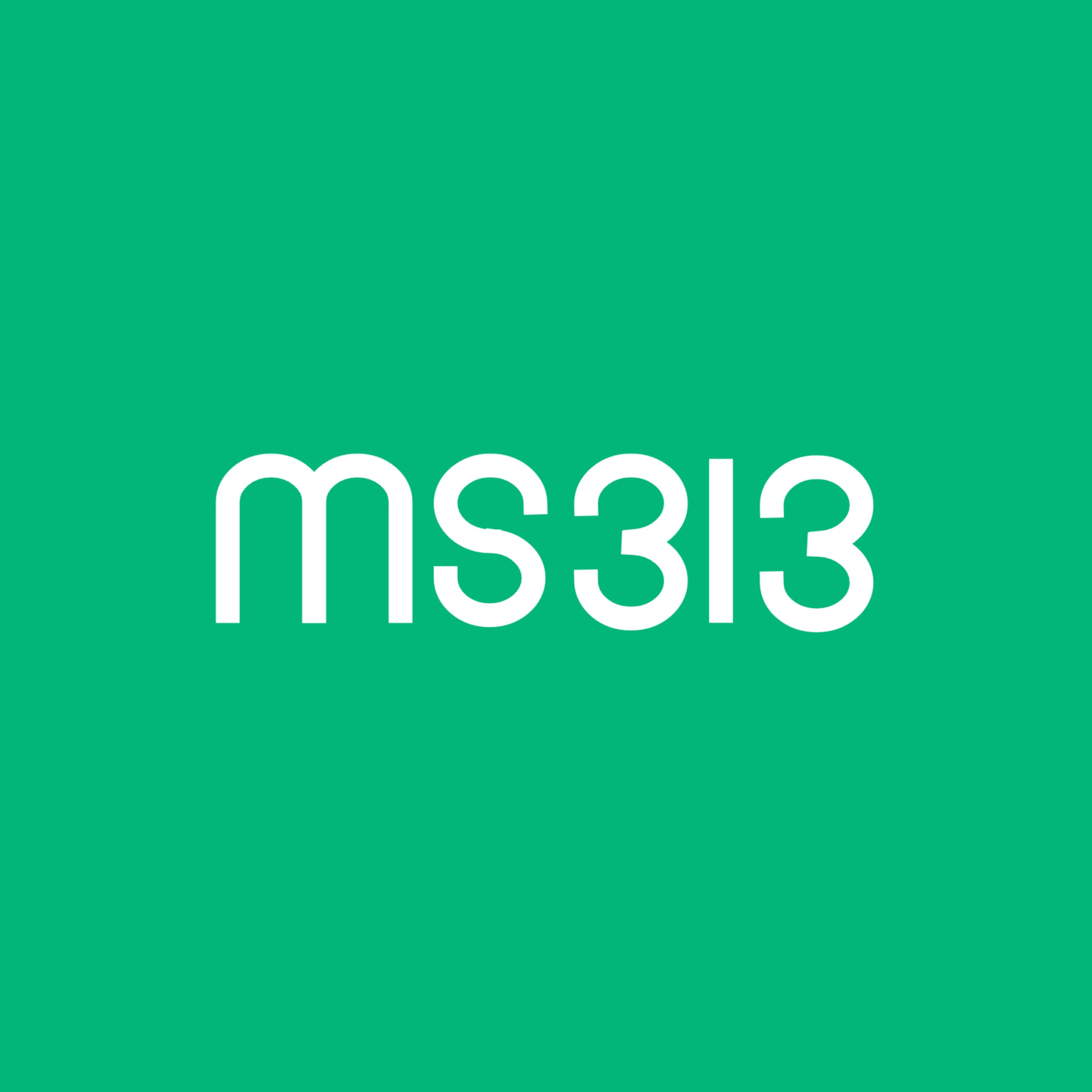 کاور MS313