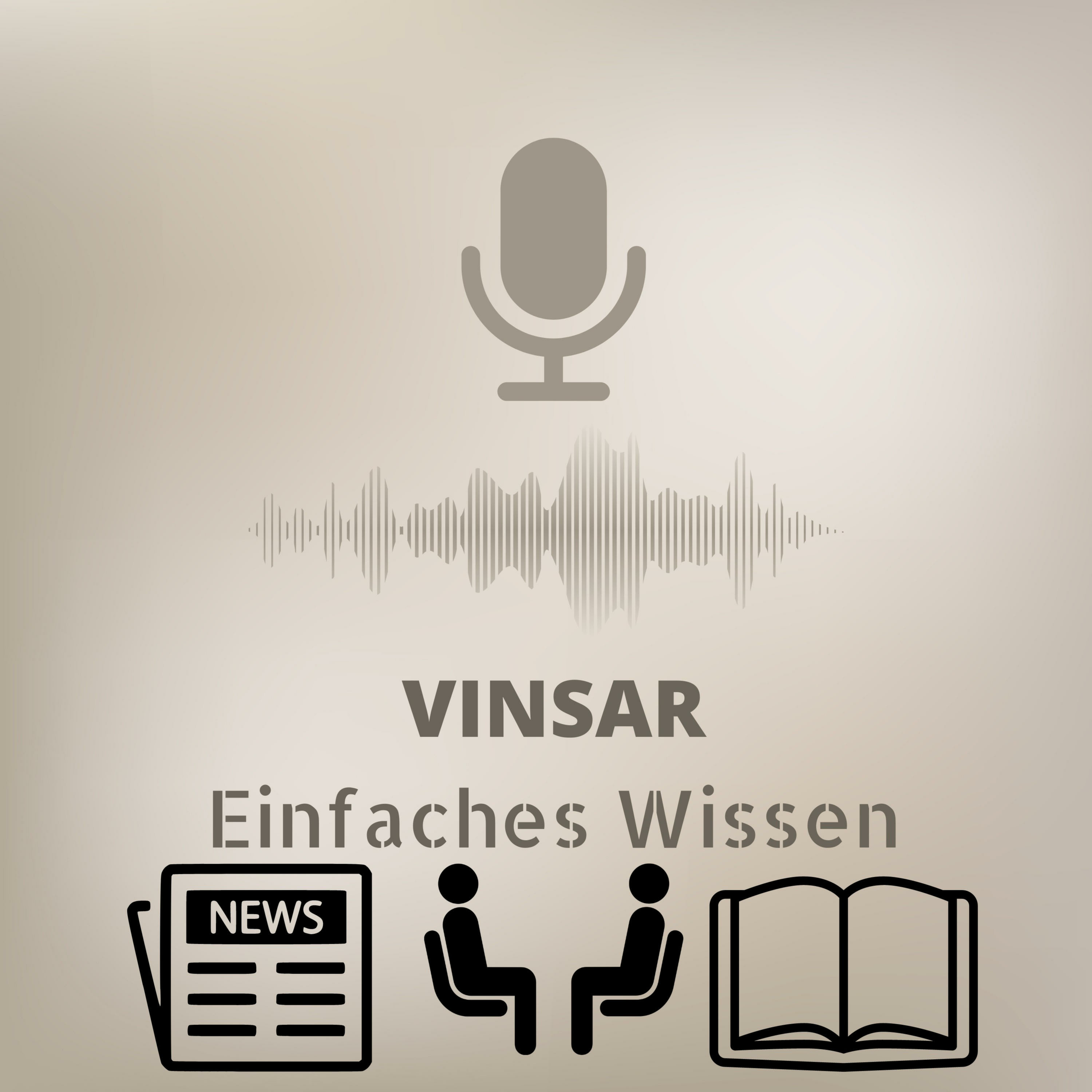 VINSAR cover art