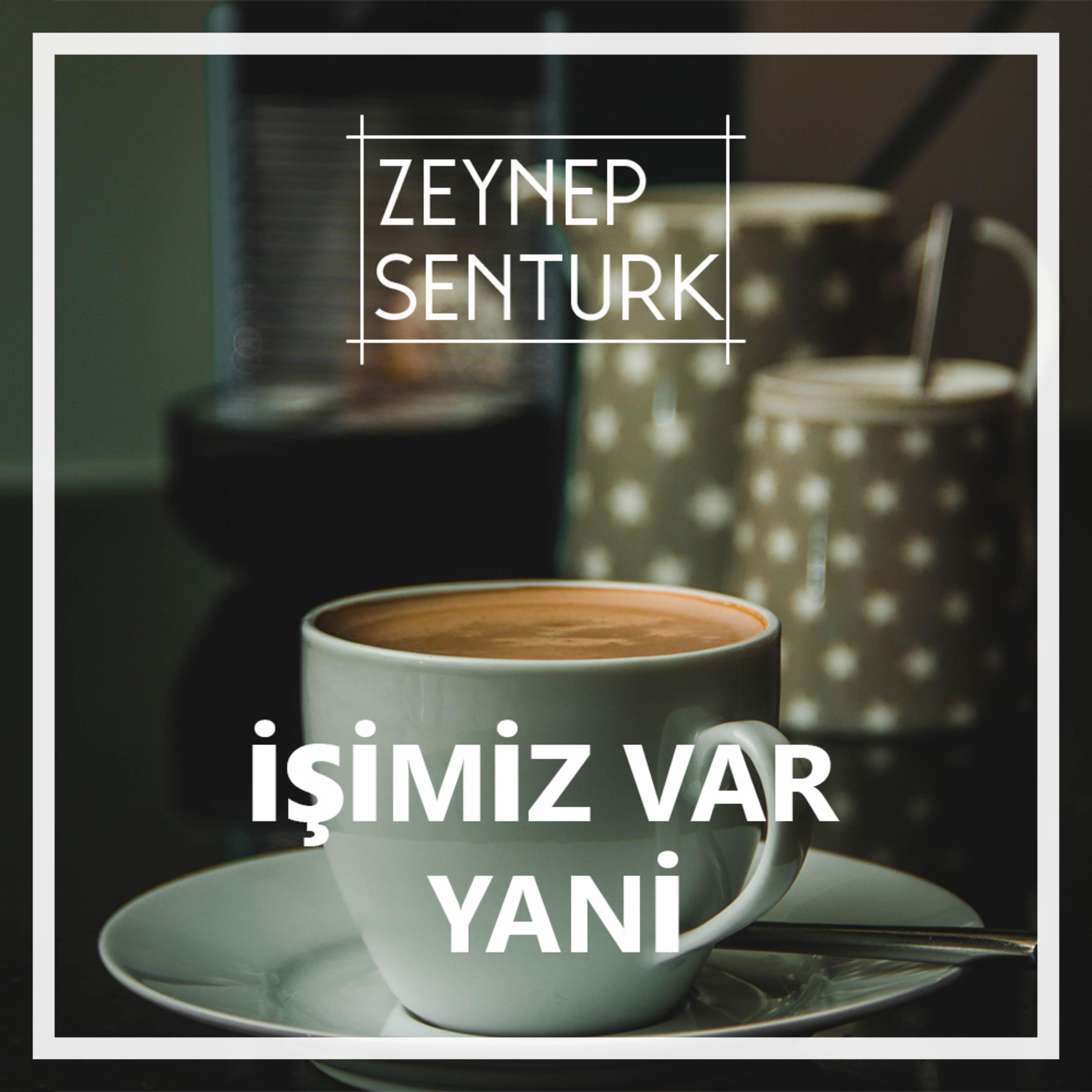 İşimiz Var Yani