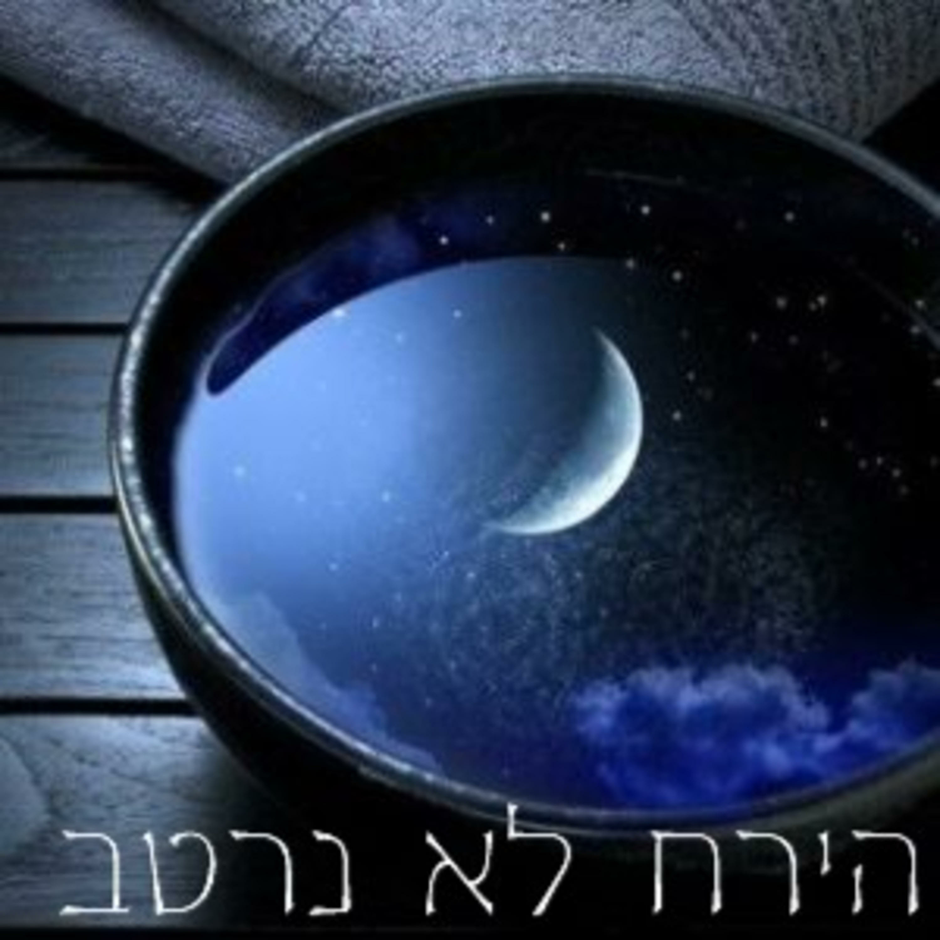 פרק 12 - כוחן של מילים
