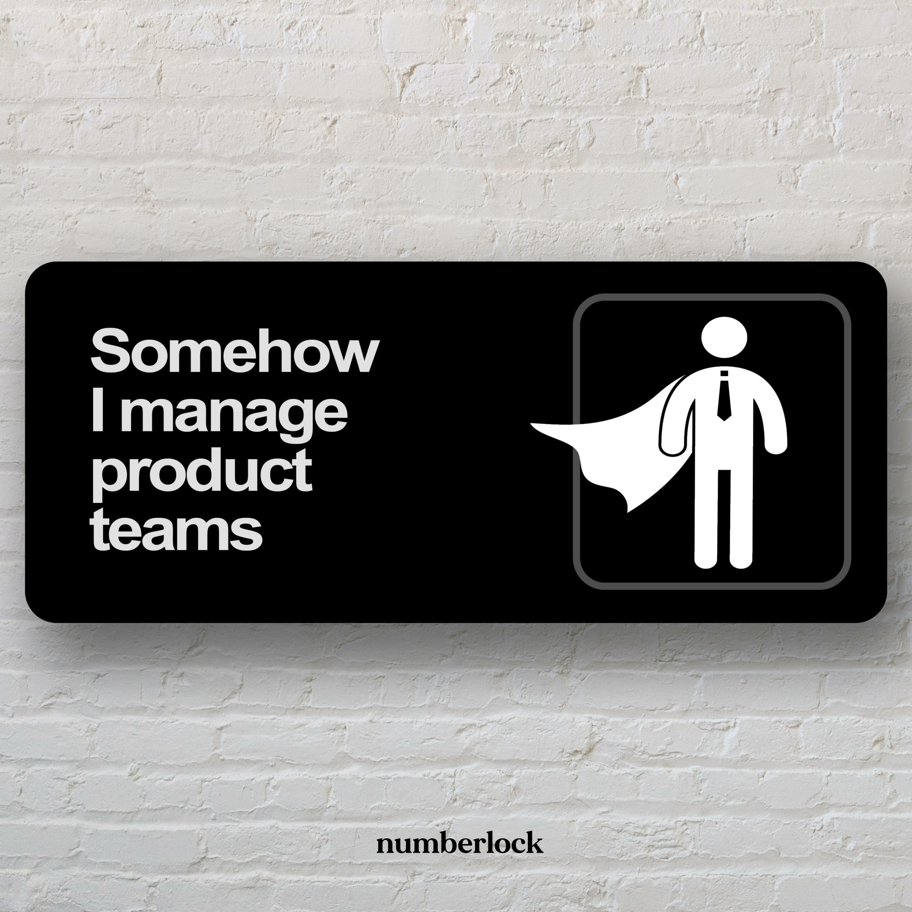 Somehow I Manage Product Teams