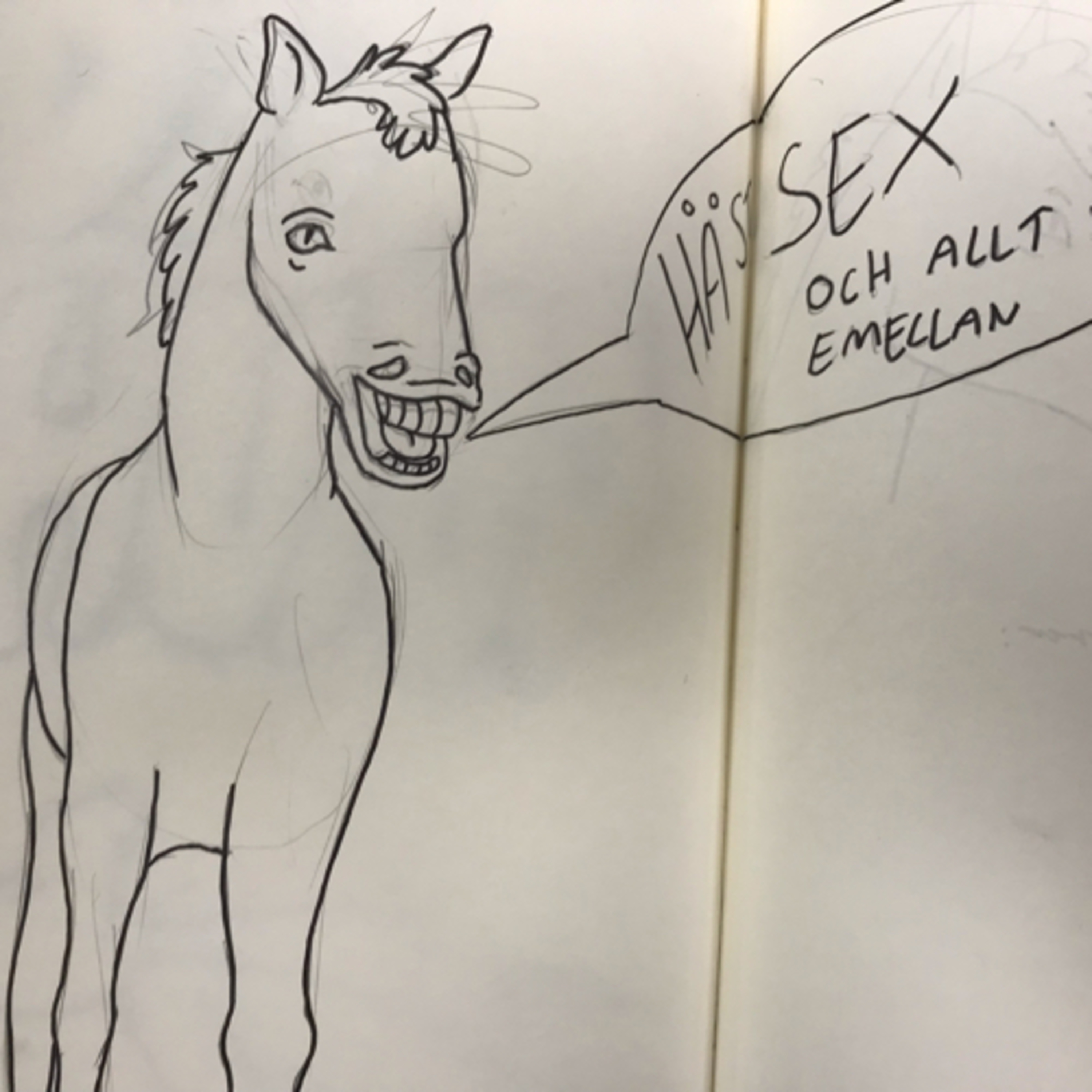 Hästsex och allt däremellan