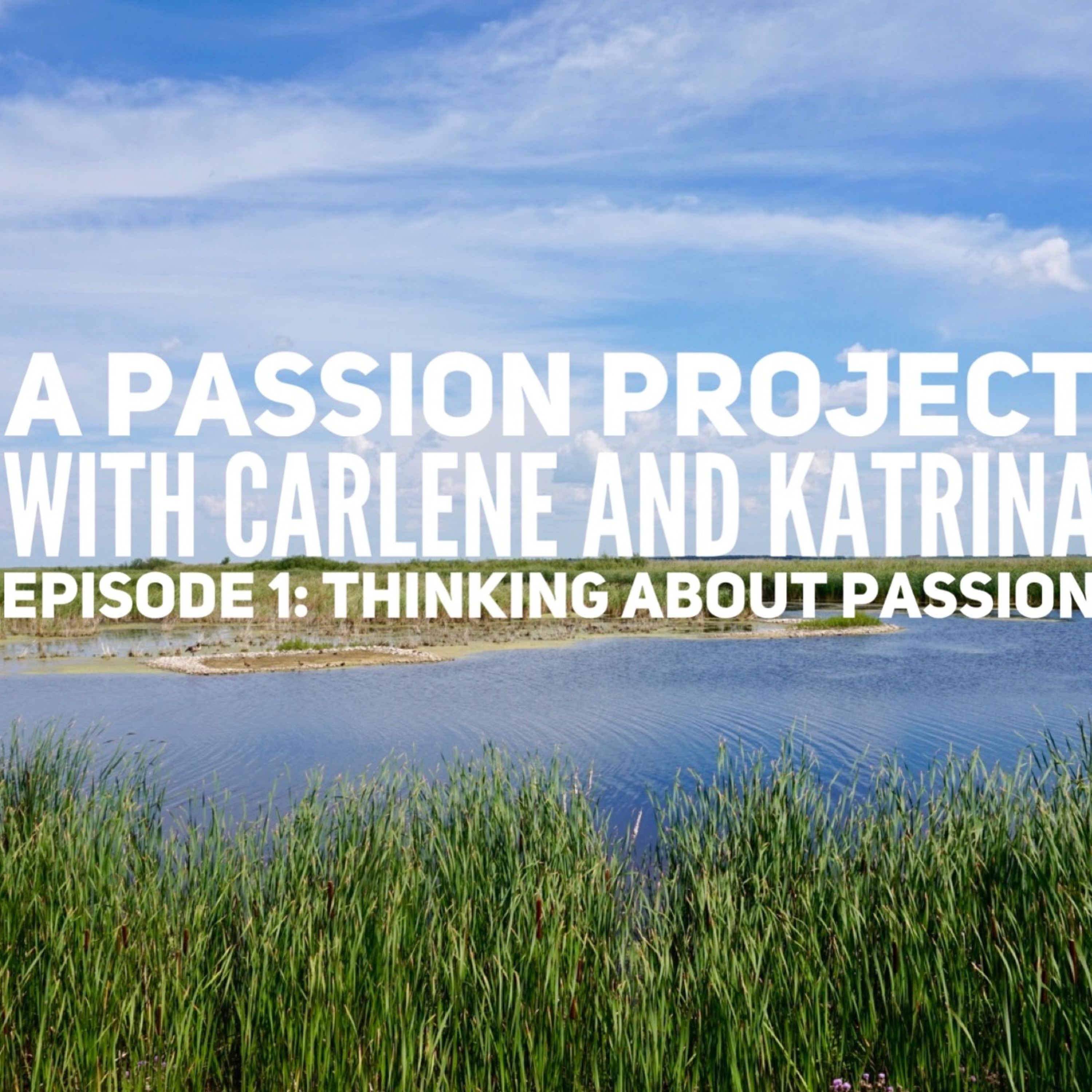 Episode 1: Thinking About Passion