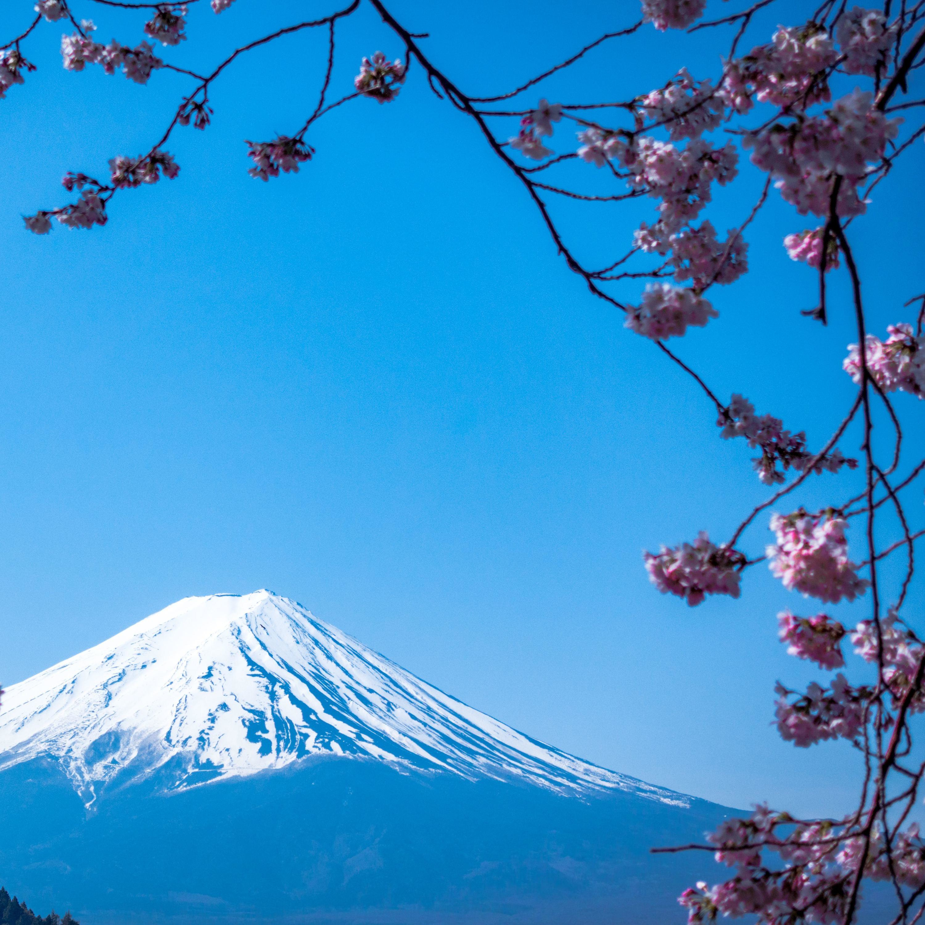 ADNIPO JAPAN CHURCH / LPP (Listen/Pray & Practice) OOP - Ouça / Ore & Pratique